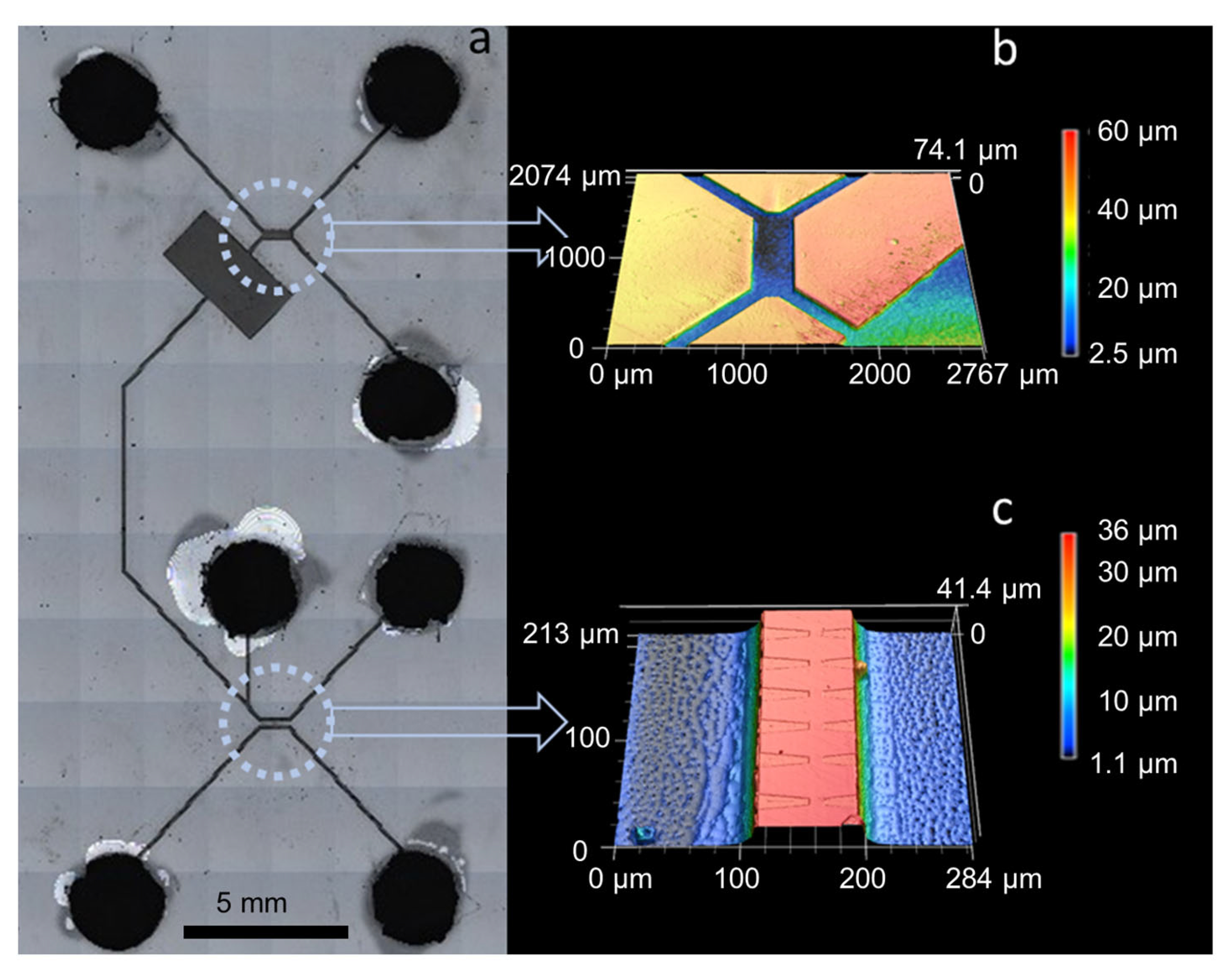 Nanomaterials 16 00732 g0a2 Nanomaterials 16 00732 g0a2