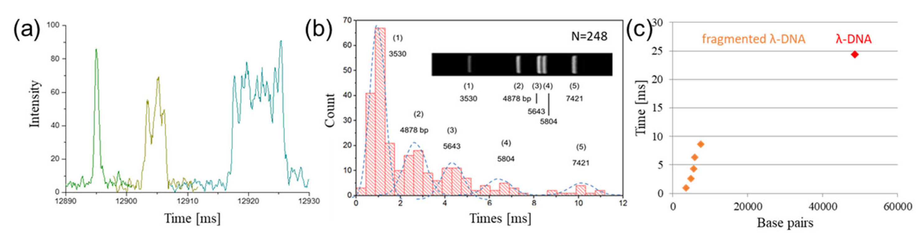 Nanomaterials 16 00732 g0a3 Nanomaterials 16 00732 g0a3