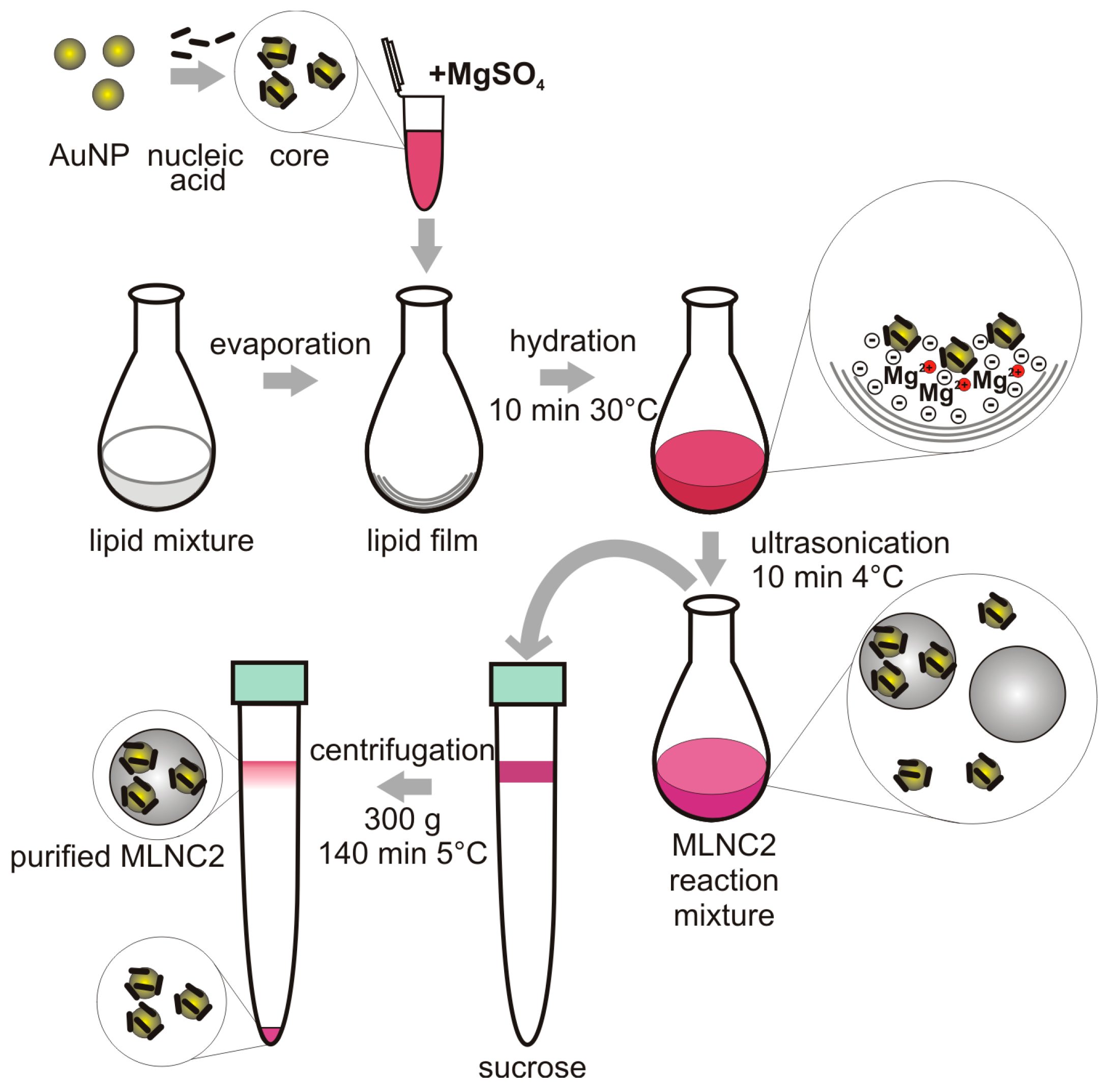 Nanomaterials 16 00743 g003 Nanomaterials 16 00743 g003