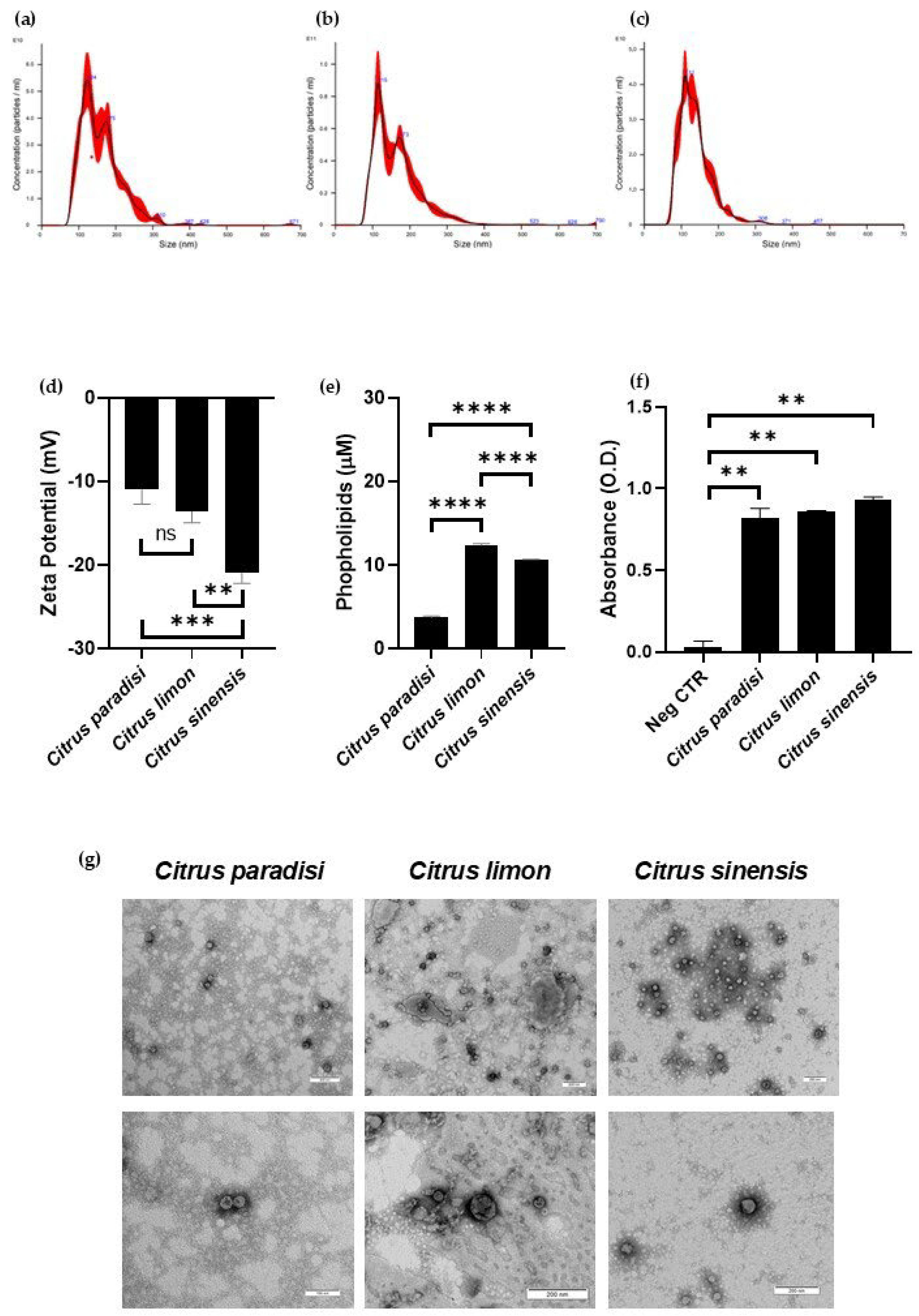 Nanomaterials 16 00744 g001