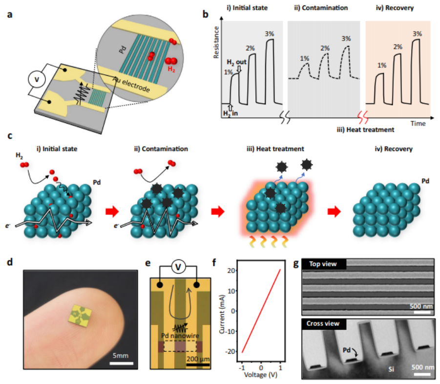 Nanomaterials 16 00762 g014 Nanomaterials 16 00762 g014