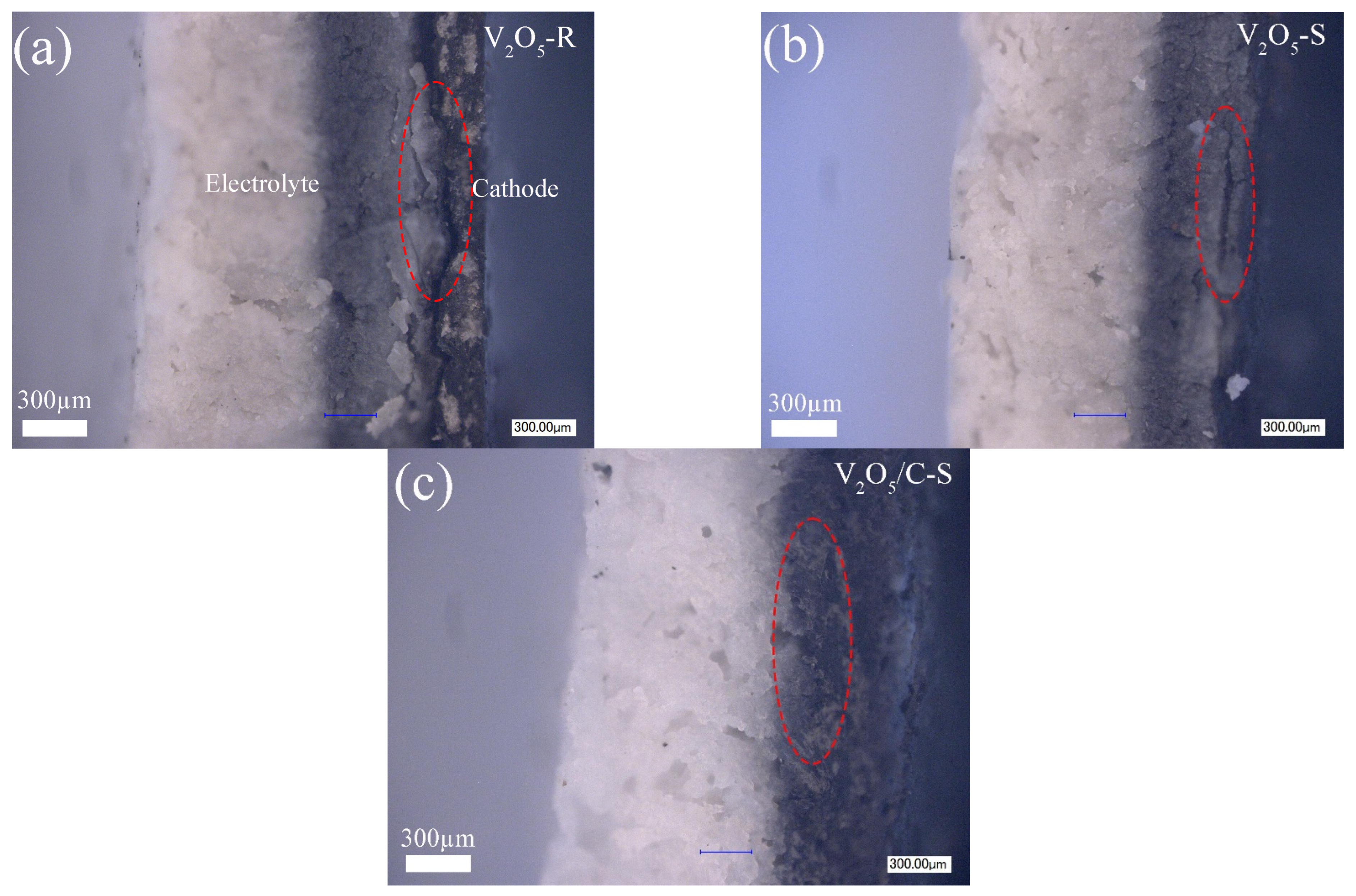 Nanomaterials 16 00791 g012