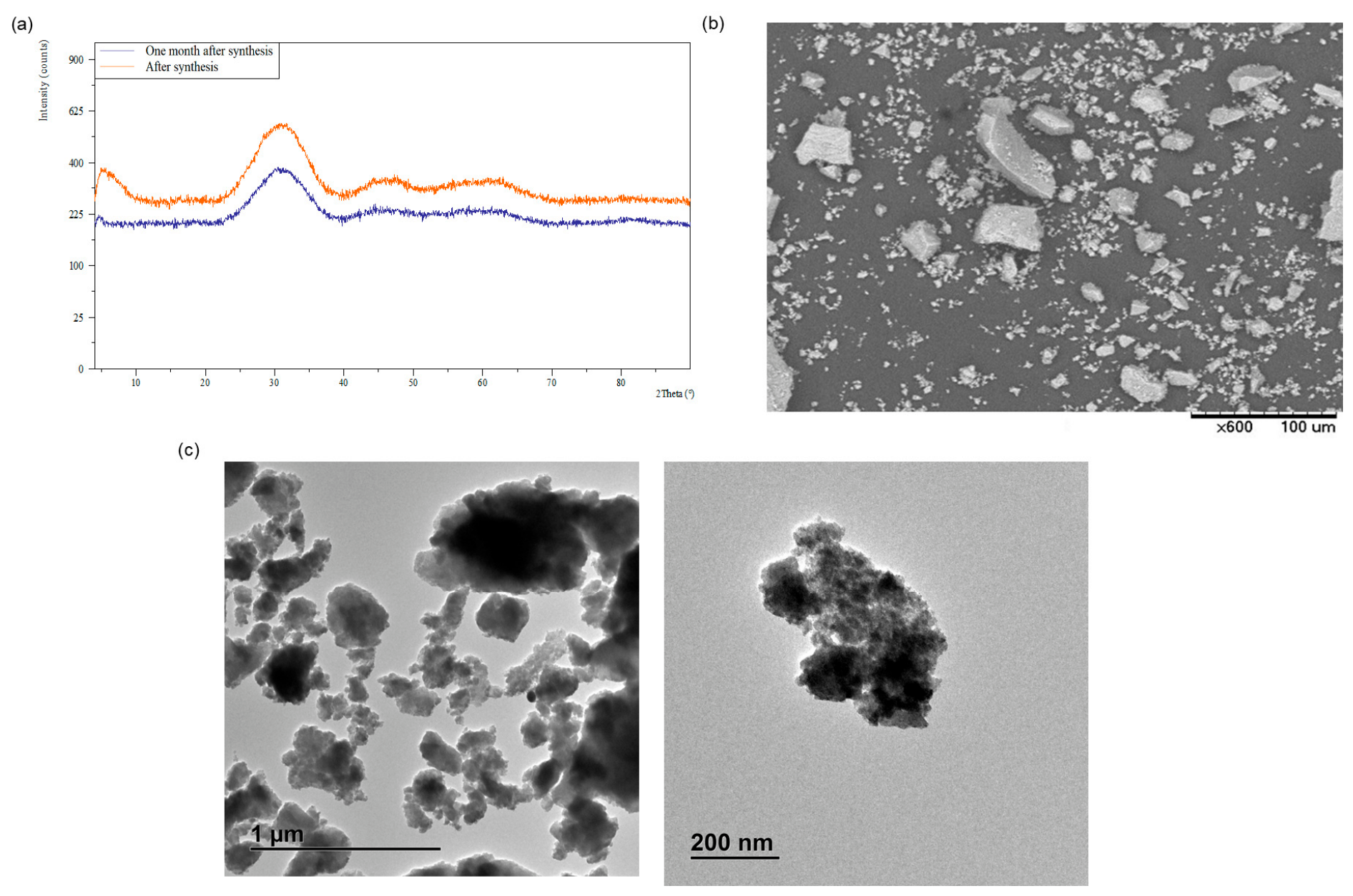 Nanomaterials 16 00823 g002 Nanomaterials 16 00823 g002
