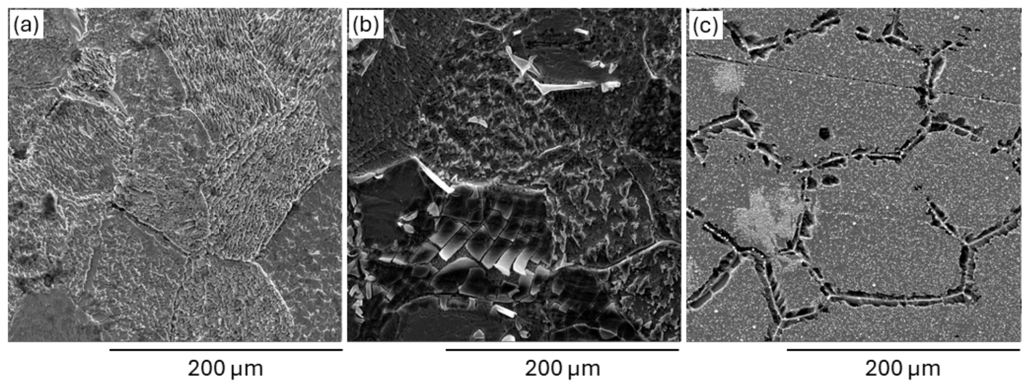 Nanomaterials 16 00825 g006 Nanomaterials 16 00825 g006
