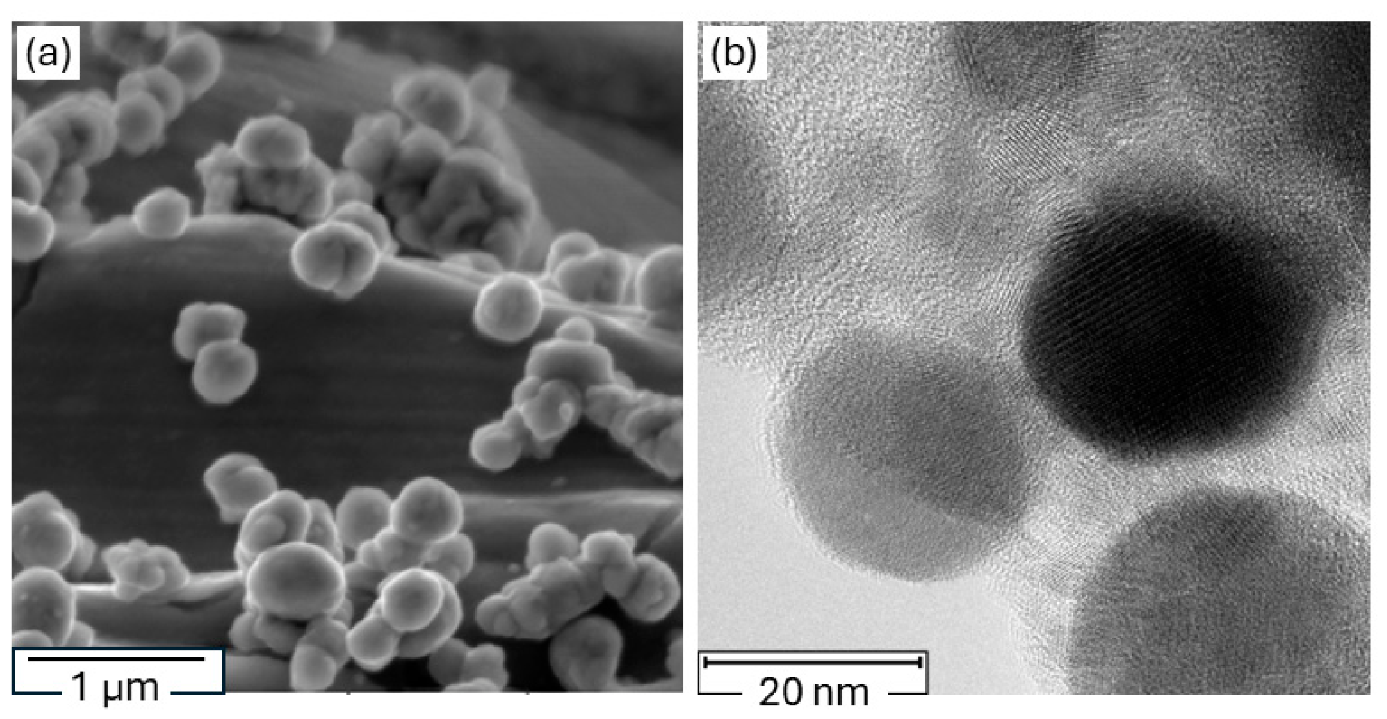 Nanomaterials 16 00825 g007 Nanomaterials 16 00825 g007