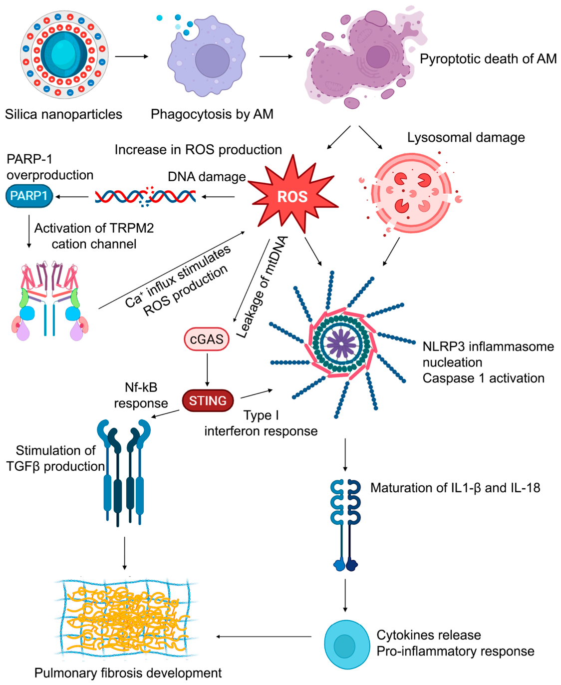 Nanomaterials 16 00866 g010 Nanomaterials 16 00866 g010