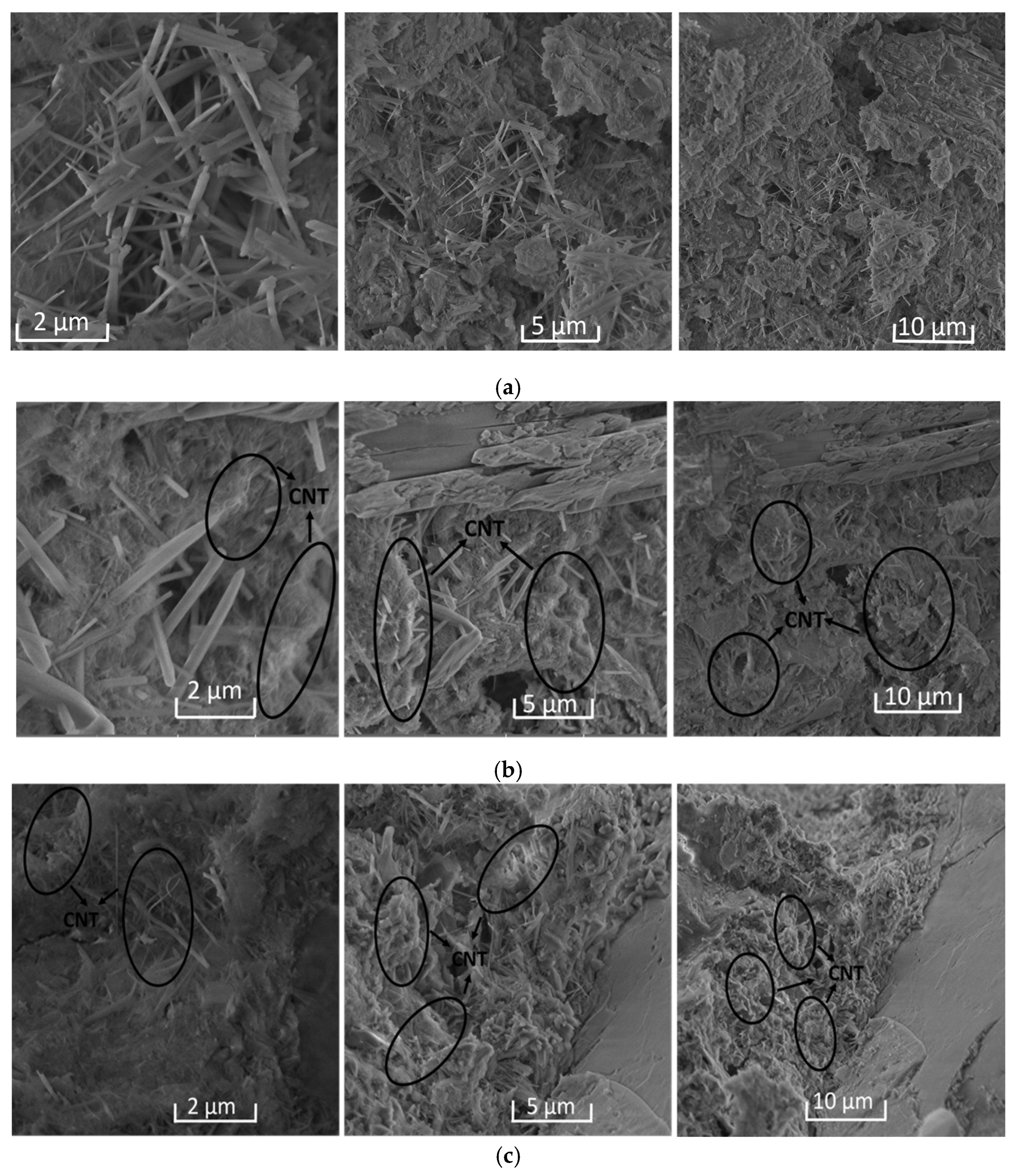 Nanomaterials 16 00885 g010 Nanomaterials 16 00885 g010