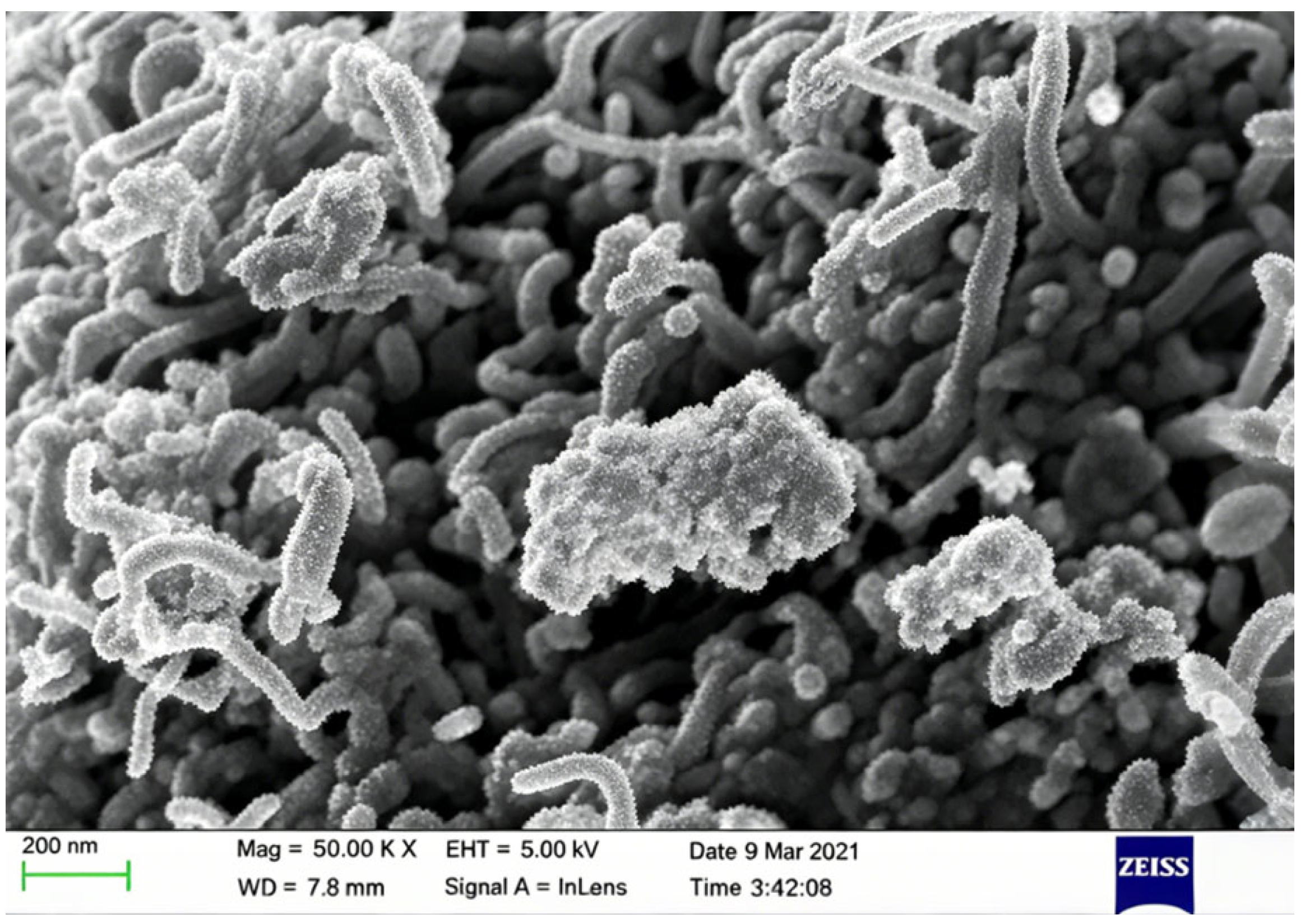 Nanomaterials 16 00889 g011