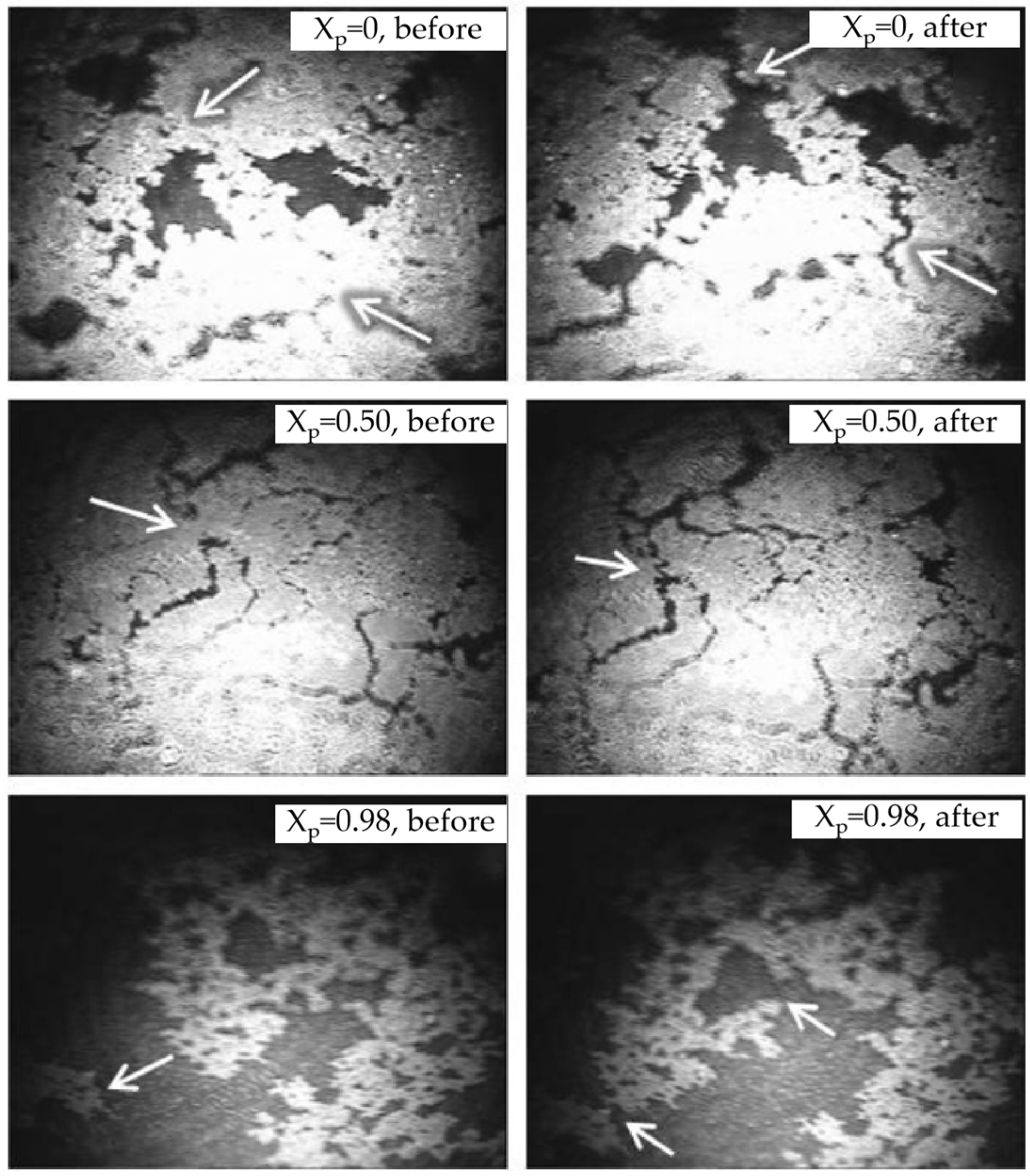 Nanomaterials 16 00890 g003