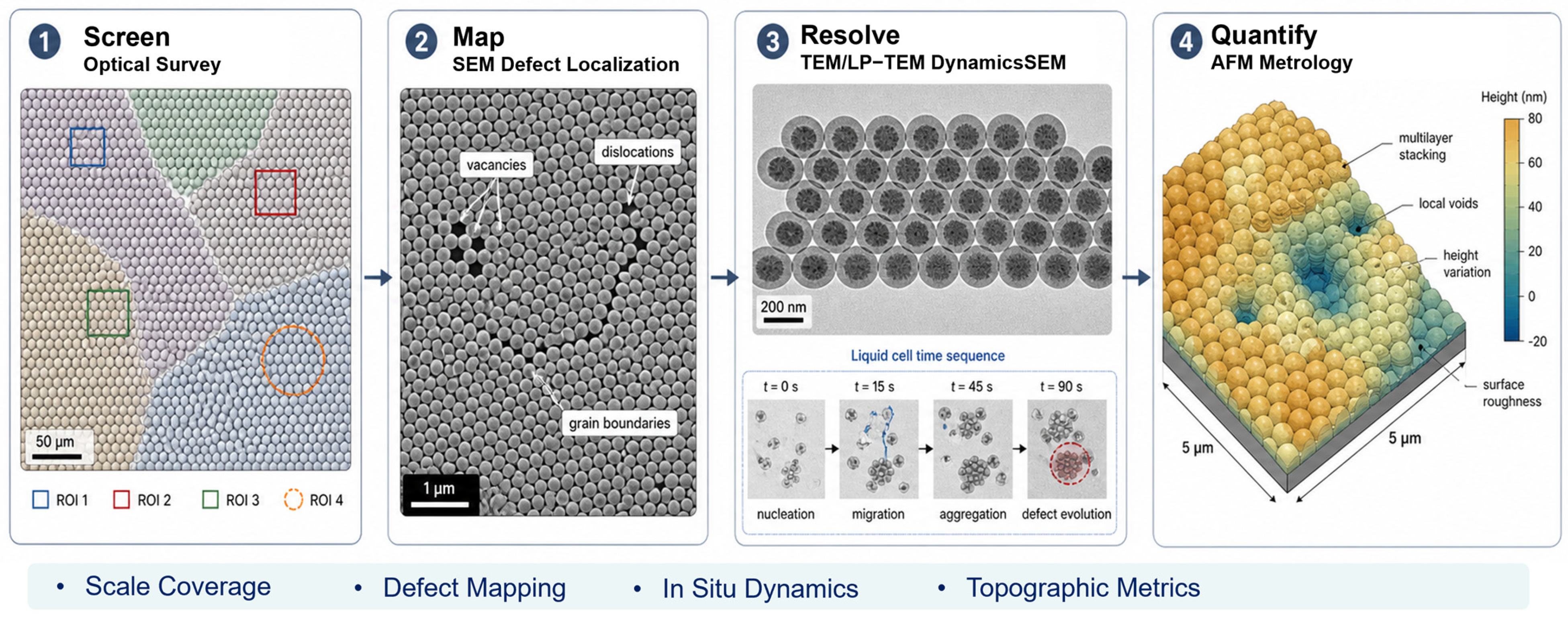 Nanomaterials 16 00890 g010