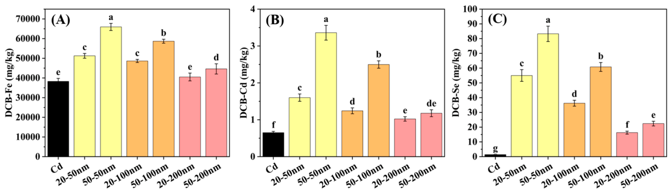 Nanomaterials 16 00897 g008 Nanomaterials 16 00897 g008