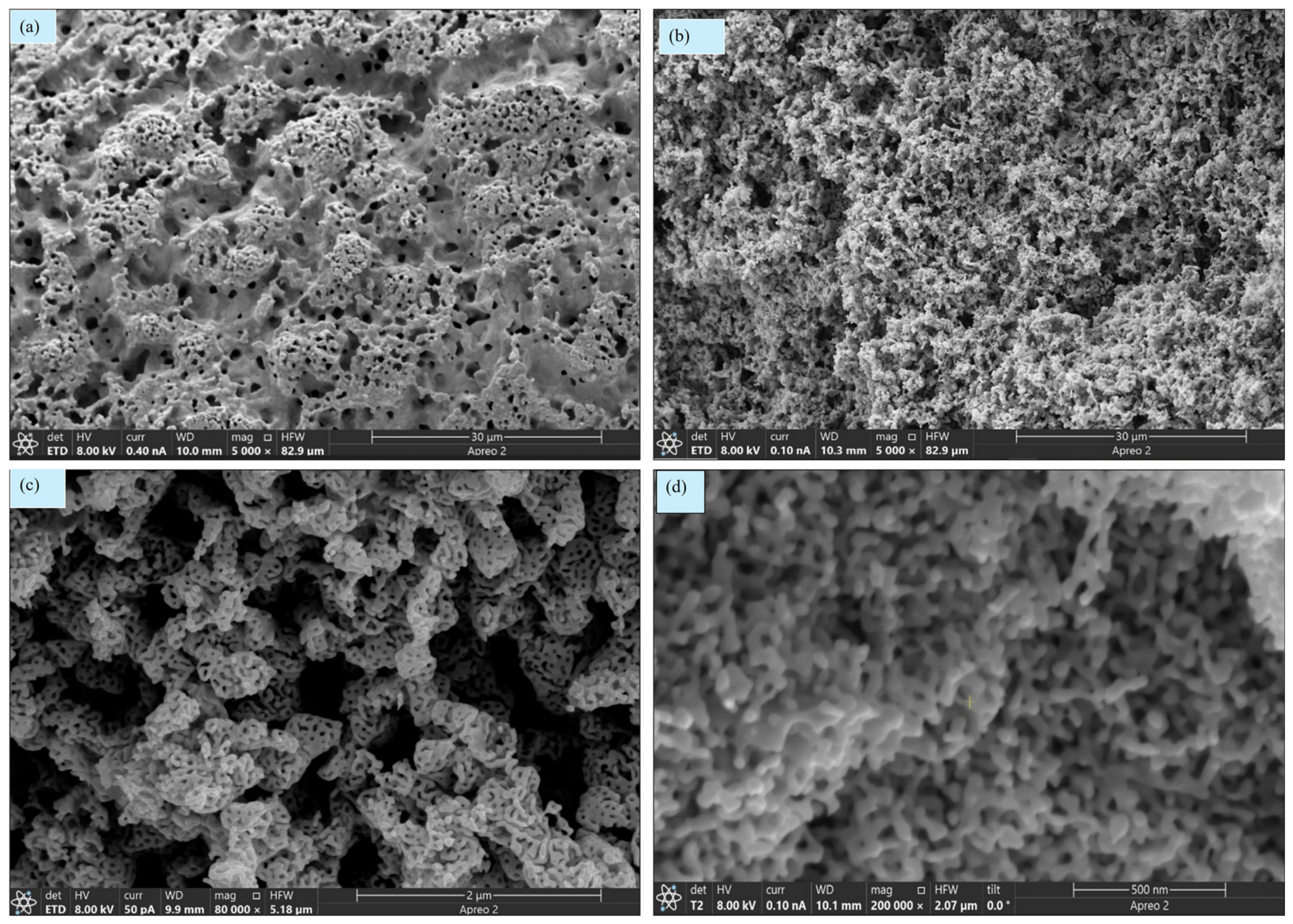 Nanomaterials 16 00916 g001a