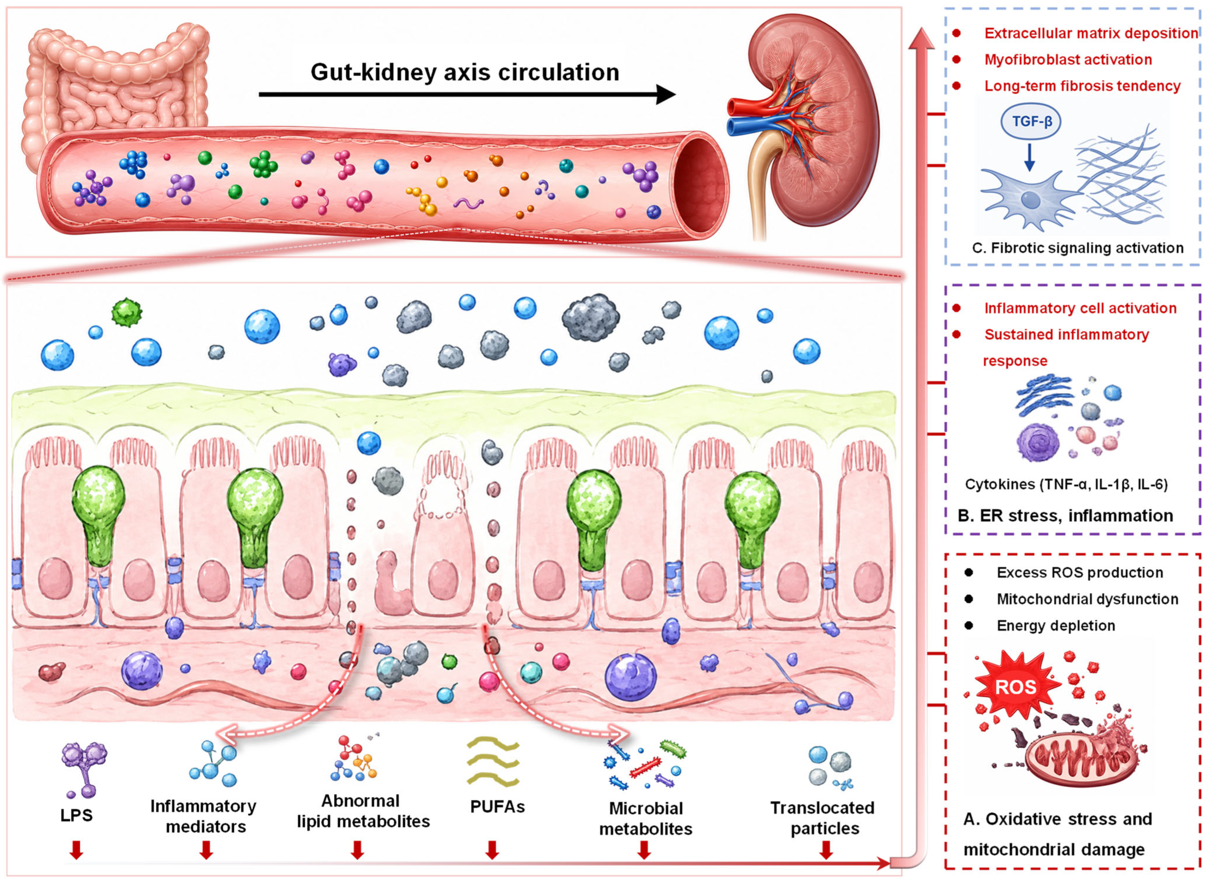 Nanomaterials 16 00923 g004
