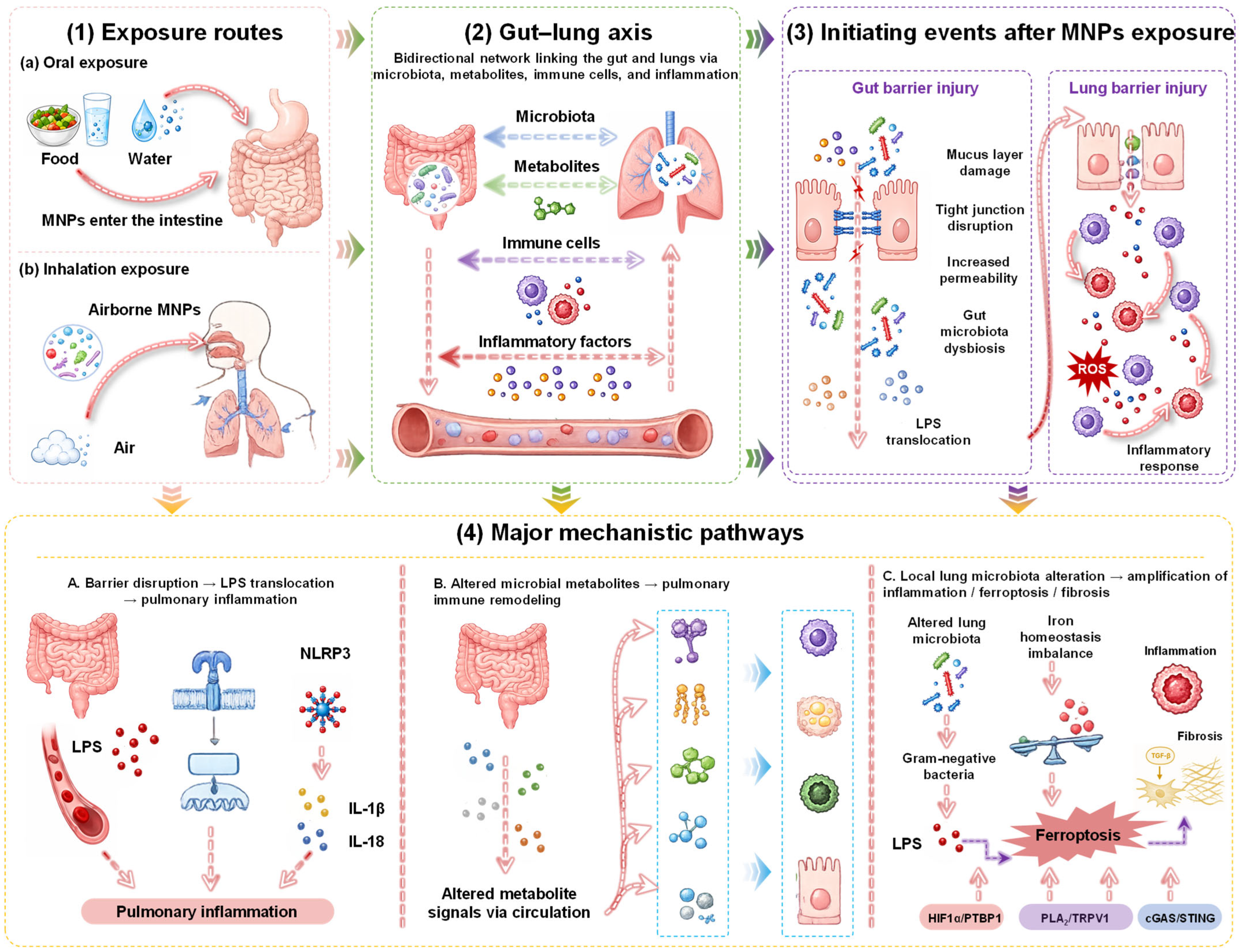 Nanomaterials 16 00923 g005