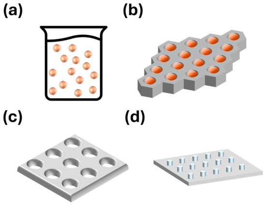 Advances in Structural Colors-Mechanisms, Quantitative Evaluation