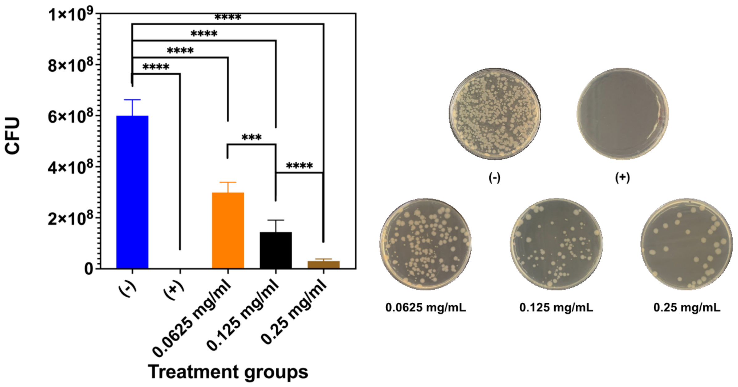 Nanomaterials 16 01058 g011