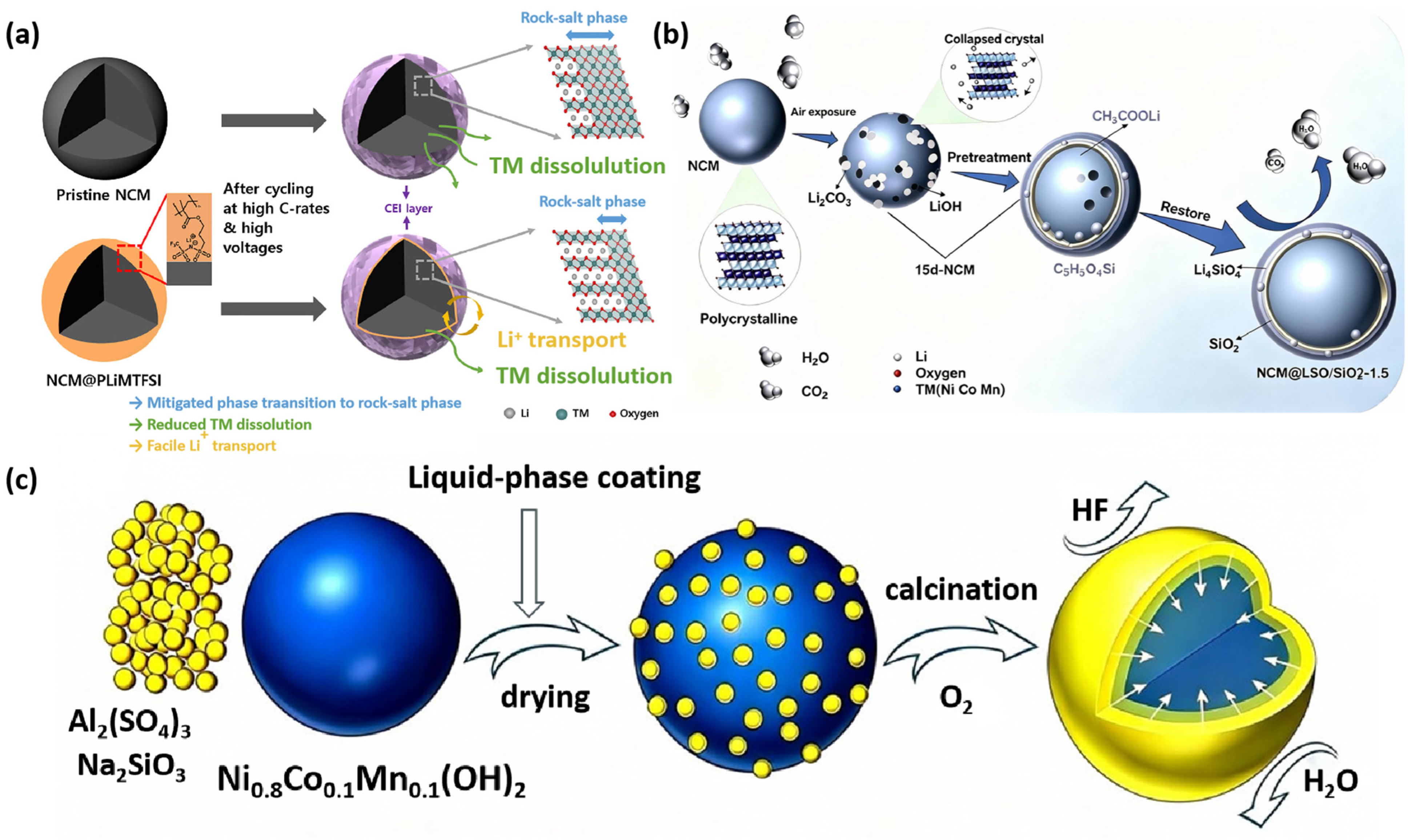 Nanomaterials 16 01102 g006 Nanomaterials 16 01102 g006