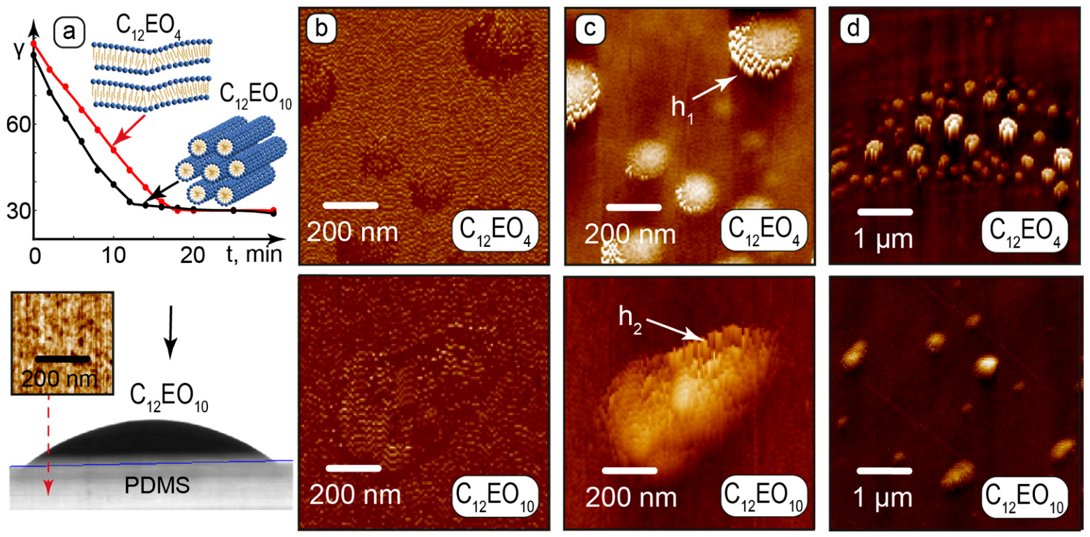 Nanomaterials 16 01122 g002 Nanomaterials 16 01122 g002