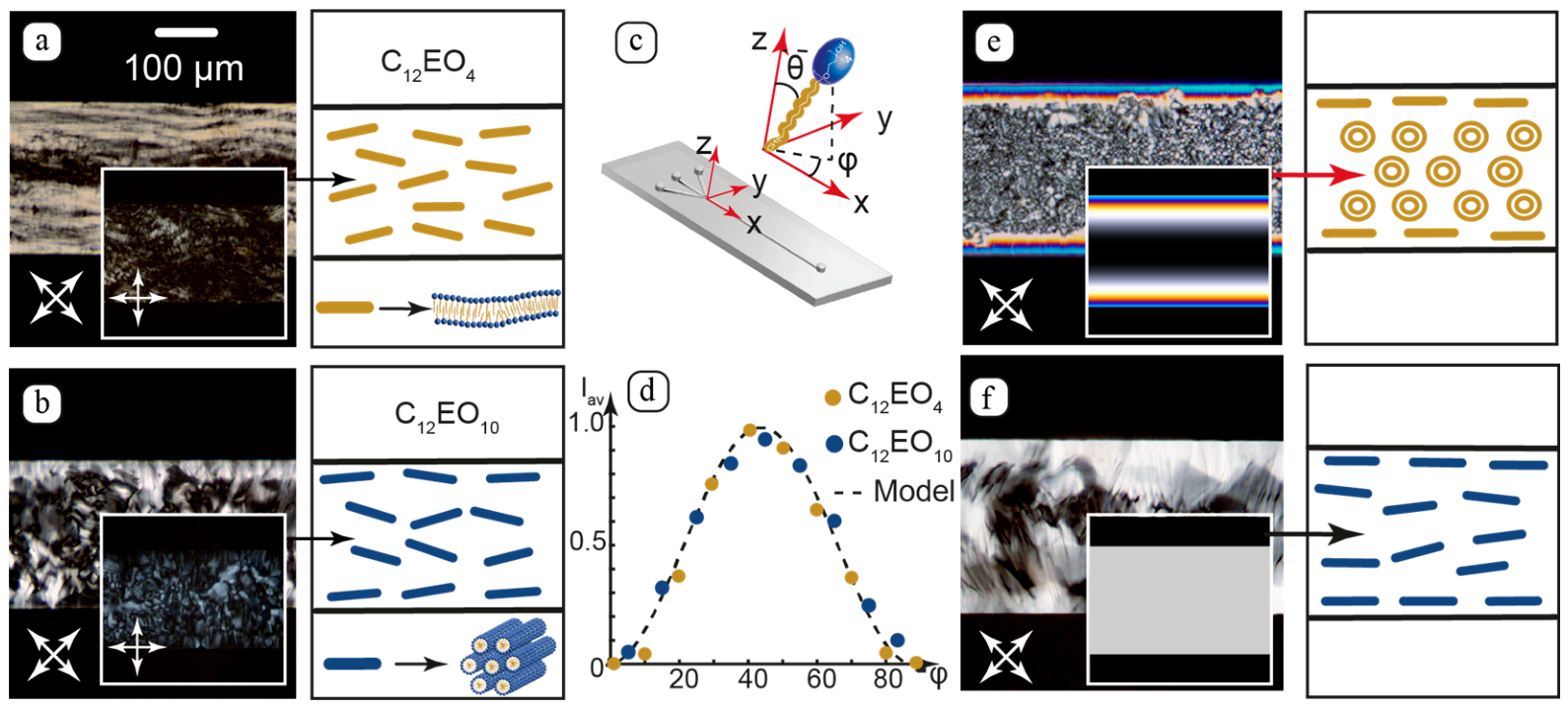 Nanomaterials 16 01122 g003 Nanomaterials 16 01122 g003