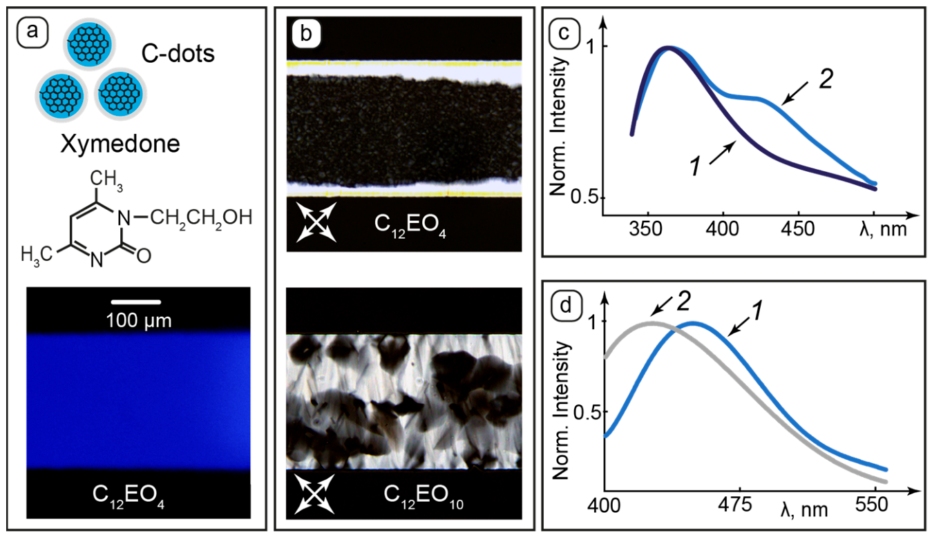 Nanomaterials 16 01122 g006 Nanomaterials 16 01122 g006