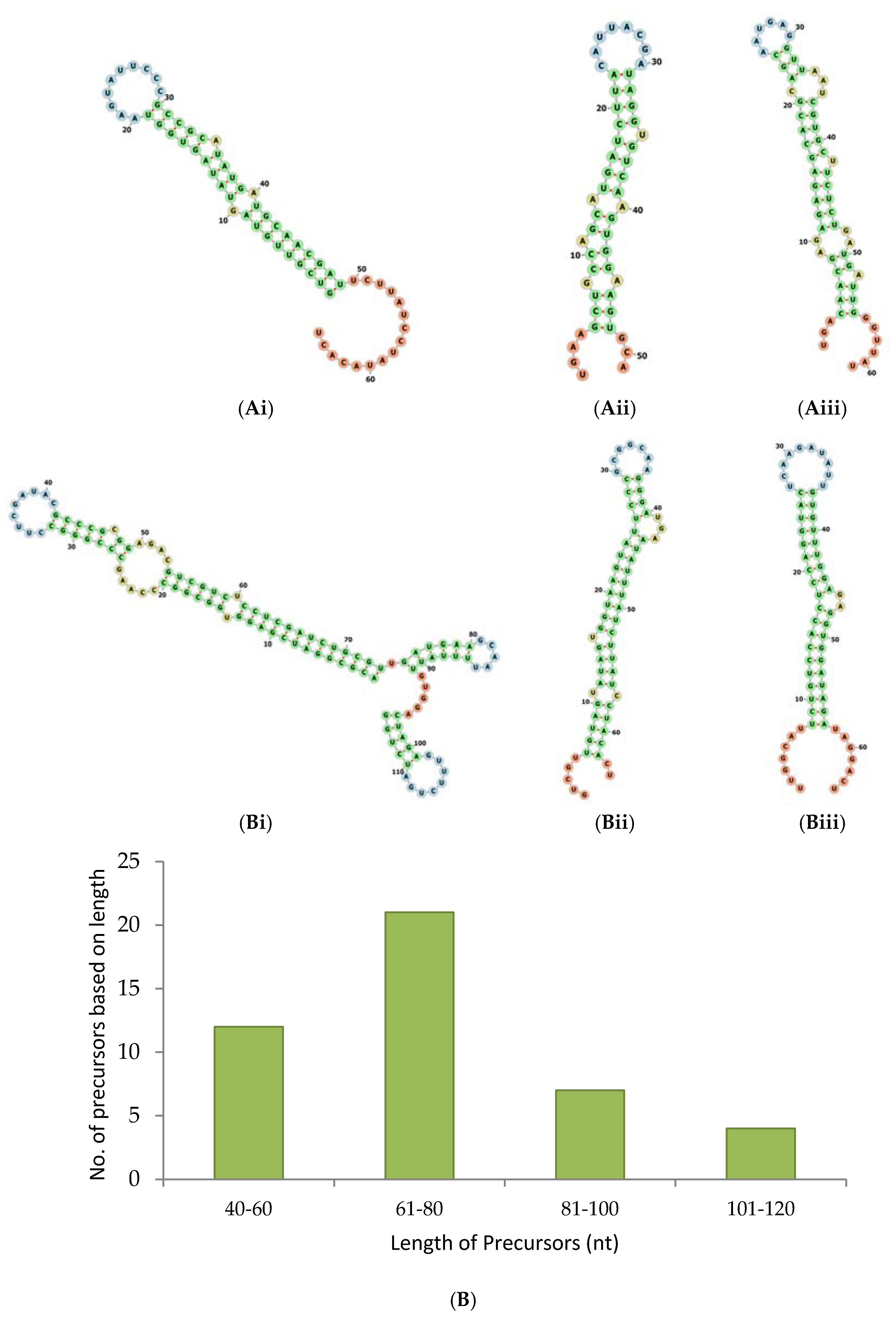 Ncrna 03 00019 g003a