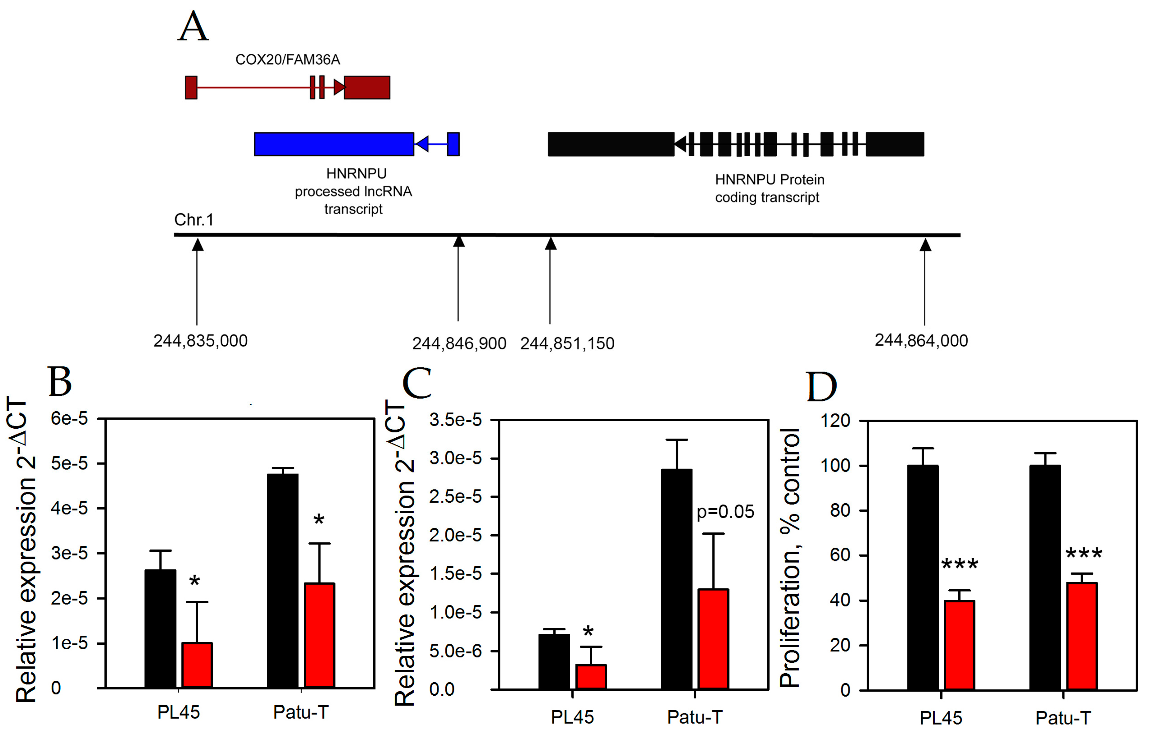 Ncrna 03 00024 g004 Ncrna 03 00024 g004