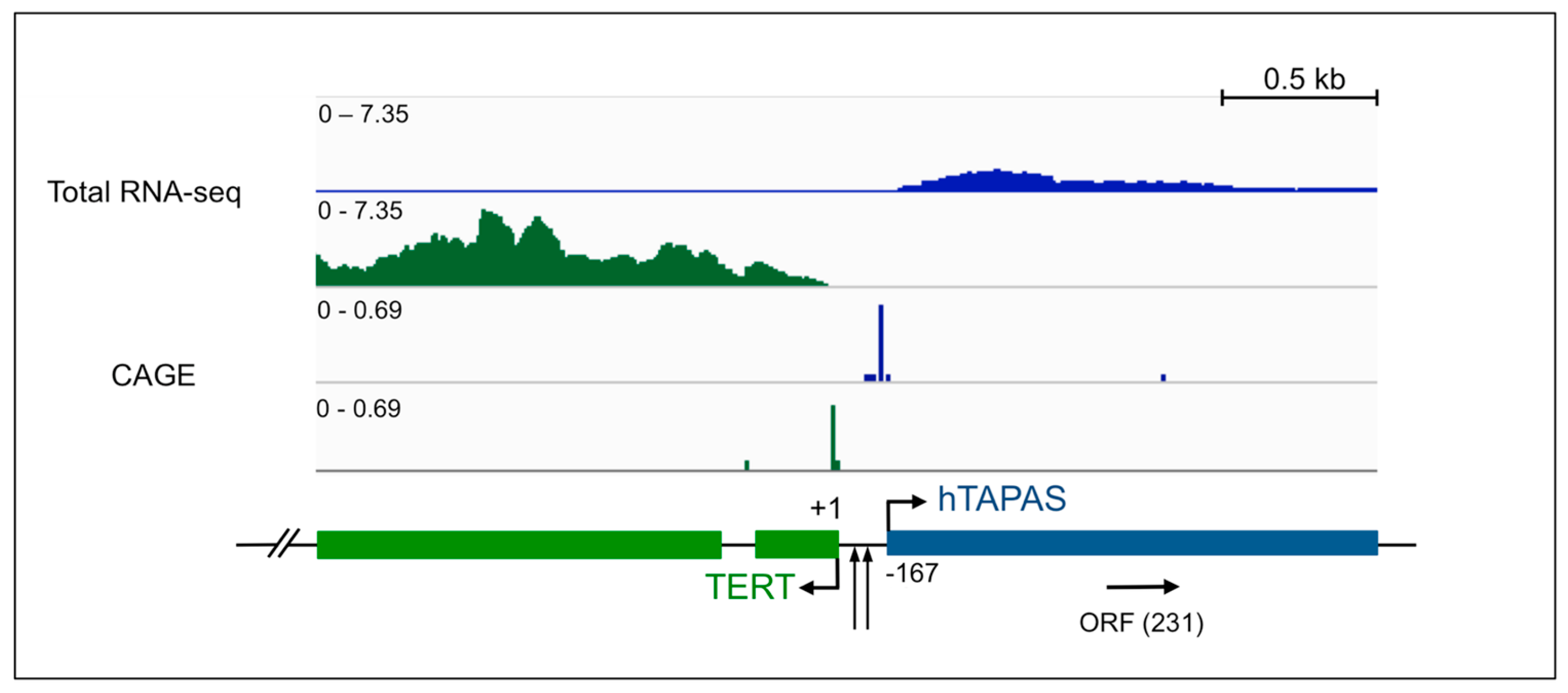 Ncrna 04 00001 g001 Ncrna 04 00001 g001