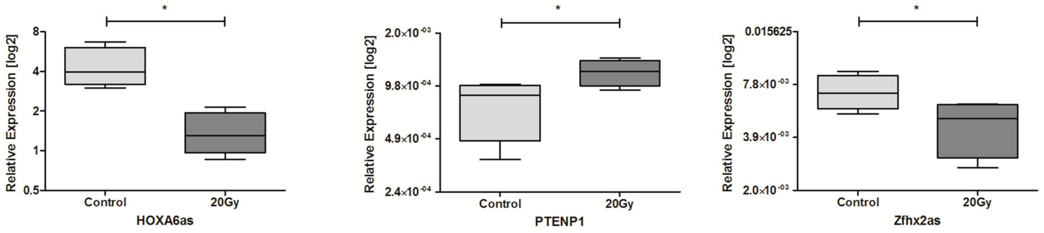Ncrna 04 00033 g004