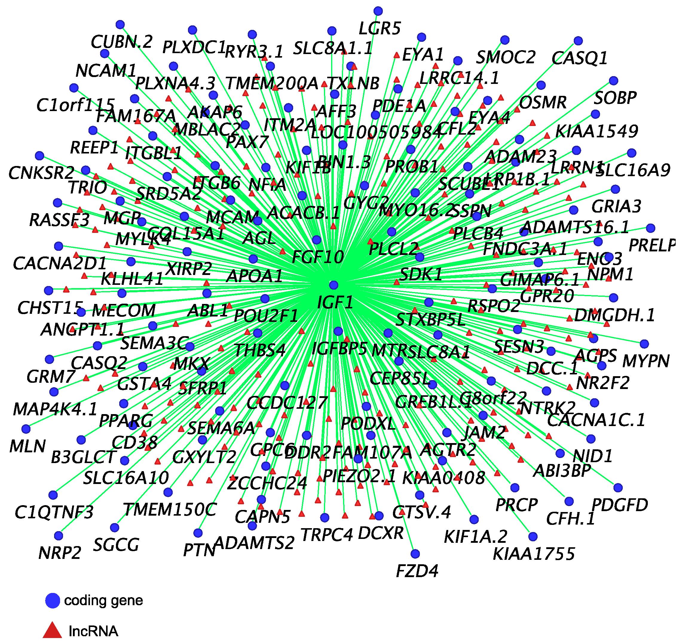 Ncrna 05 00003 g002
