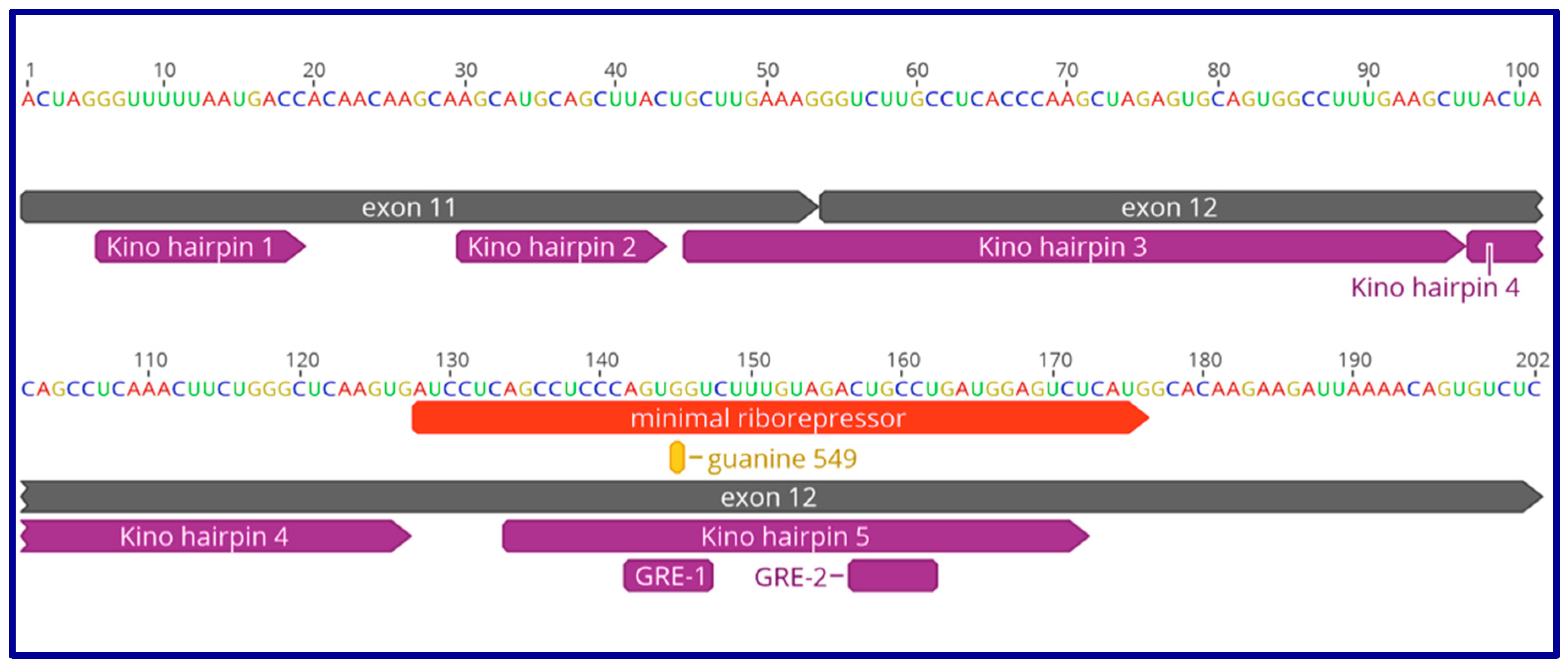 Ncrna 05 00046 g003