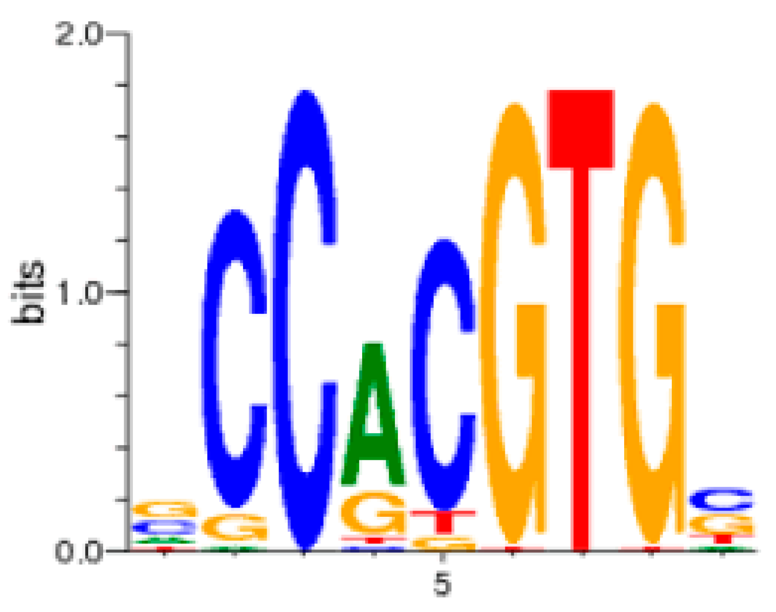 Ncrna 05 00046 g004