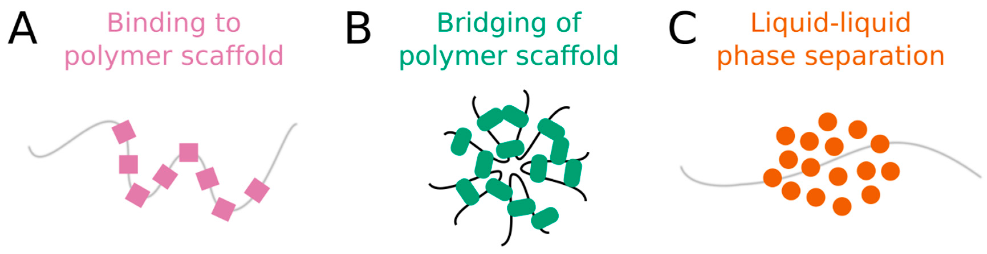 Ncrna 05 00050 g001 Ncrna 05 00050 g001