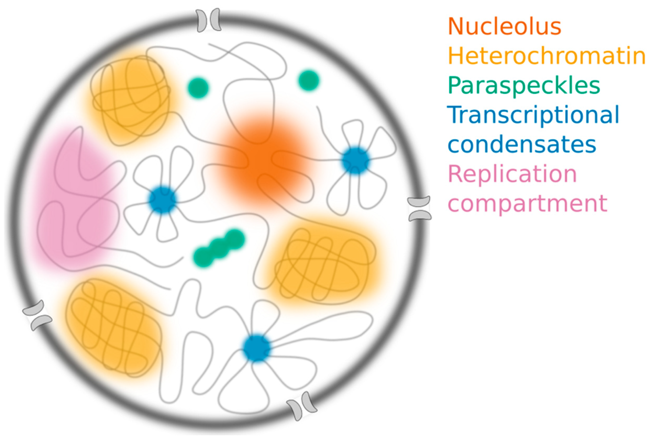 Ncrna 05 00050 g002 Ncrna 05 00050 g002