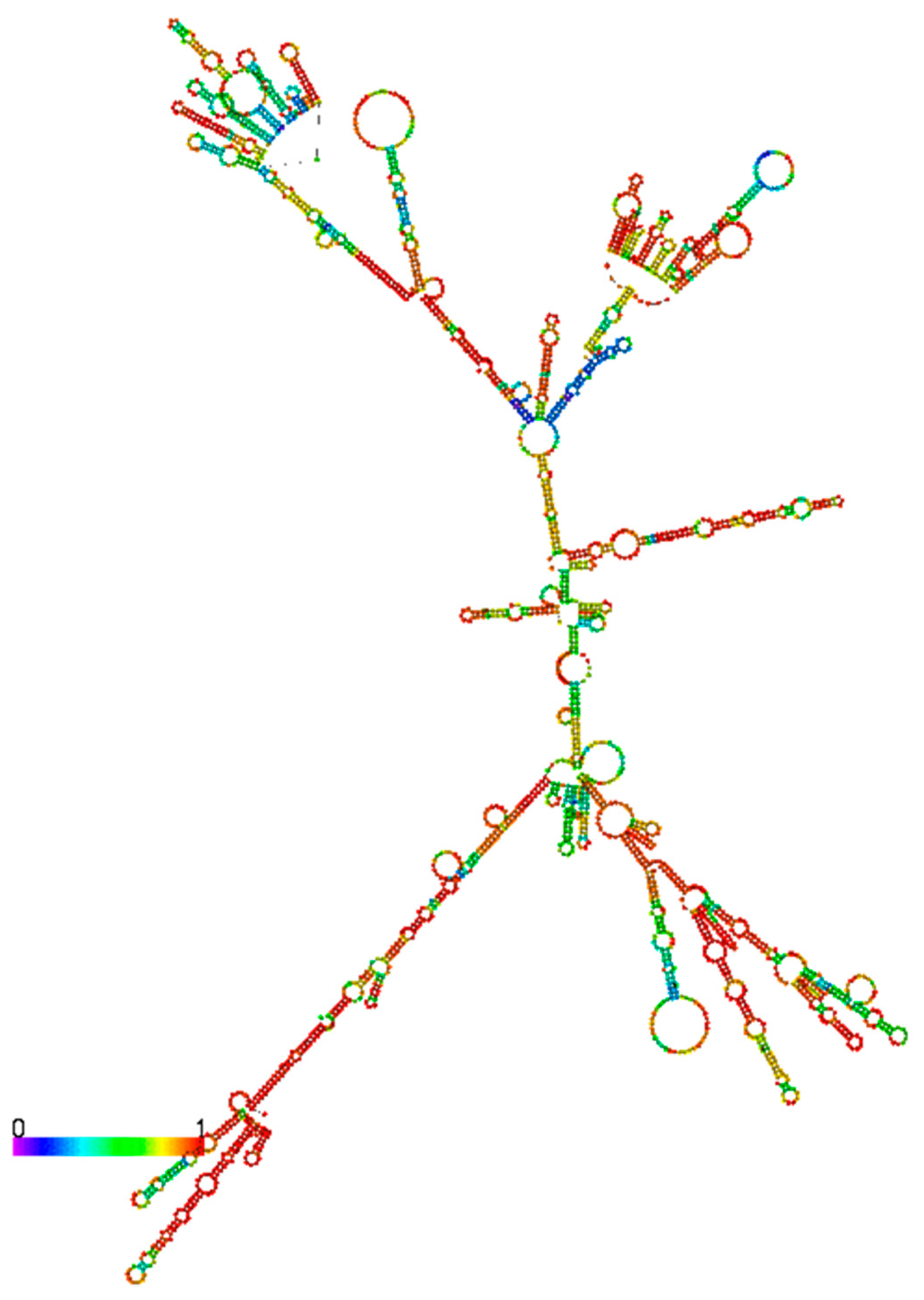 Ncrna 06 00024 g005 Ncrna 06 00024 g005