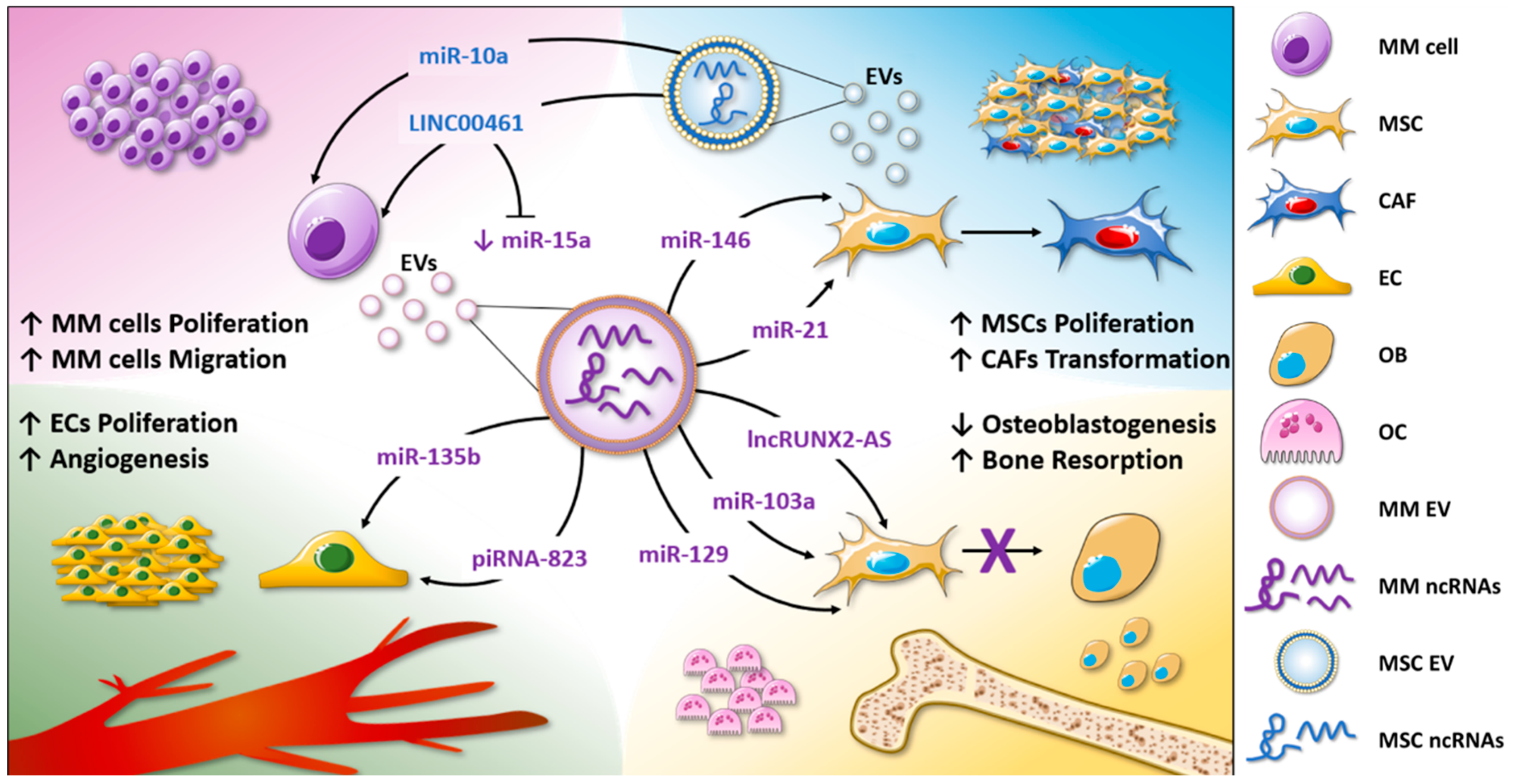 Ncrna 06 00030 g001 Ncrna 06 00030 g001