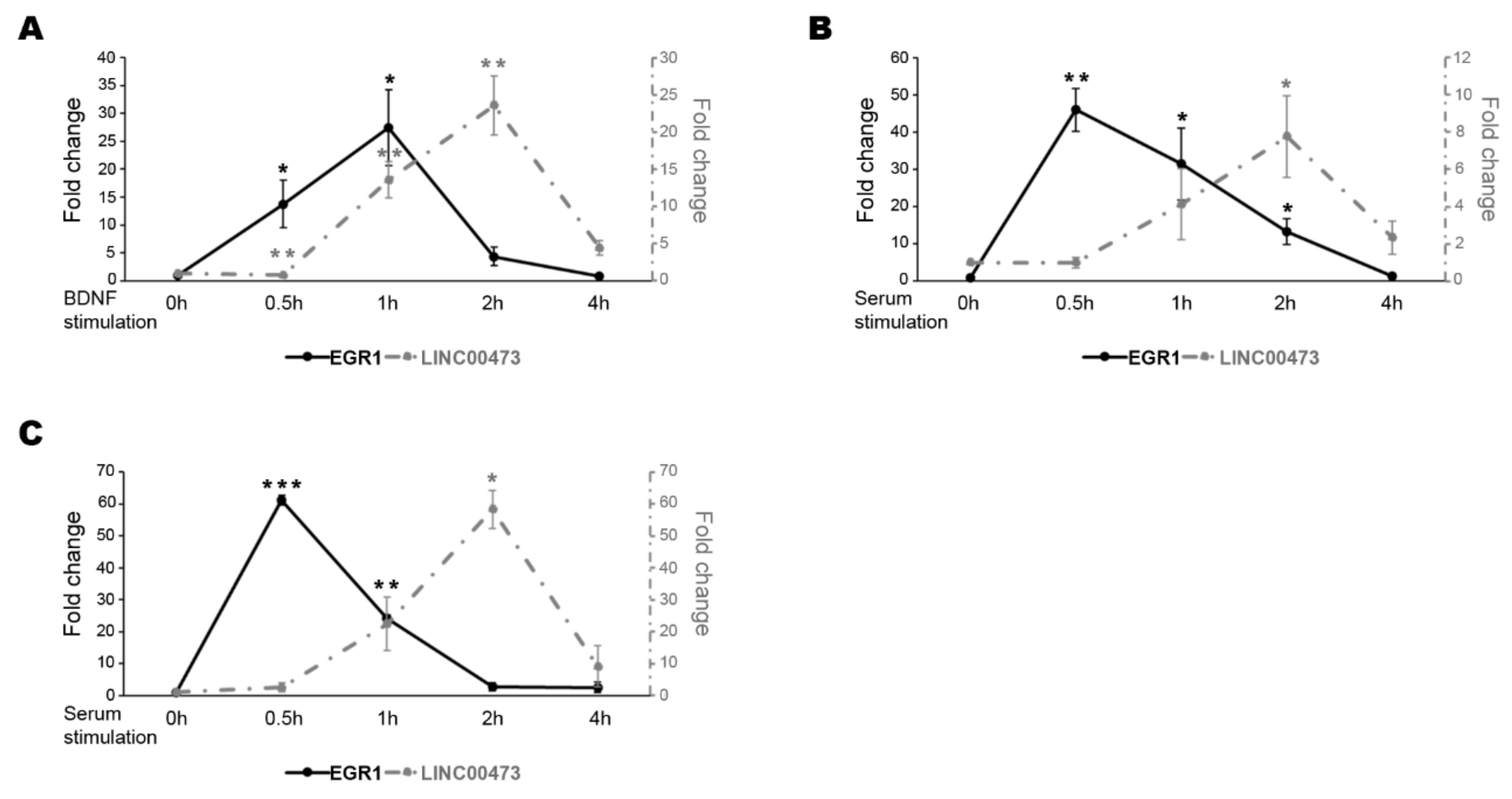 Ncrna 06 00046 g001 Ncrna 06 00046 g001