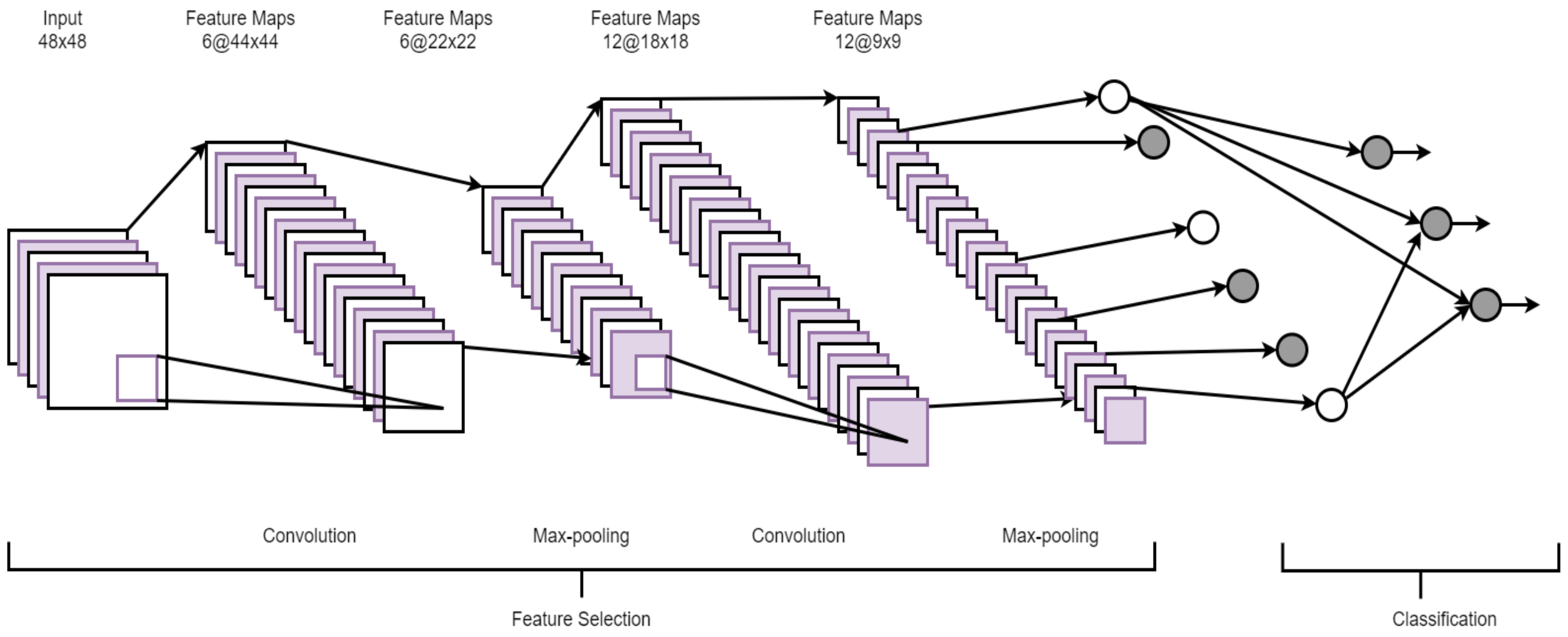 Ncrna 06 00047 g004 Ncrna 06 00047 g004
