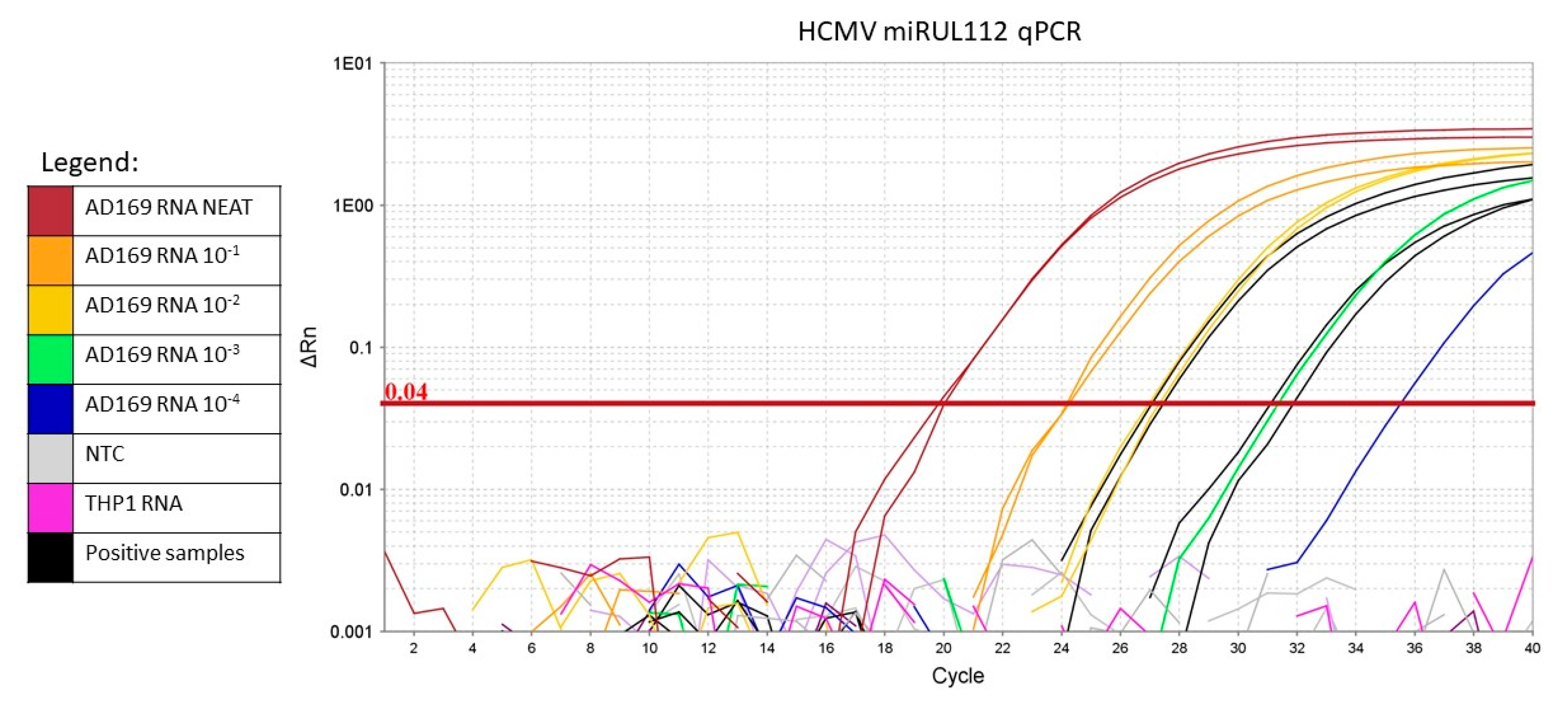 Ncrna 06 00050 g001 Ncrna 06 00050 g001