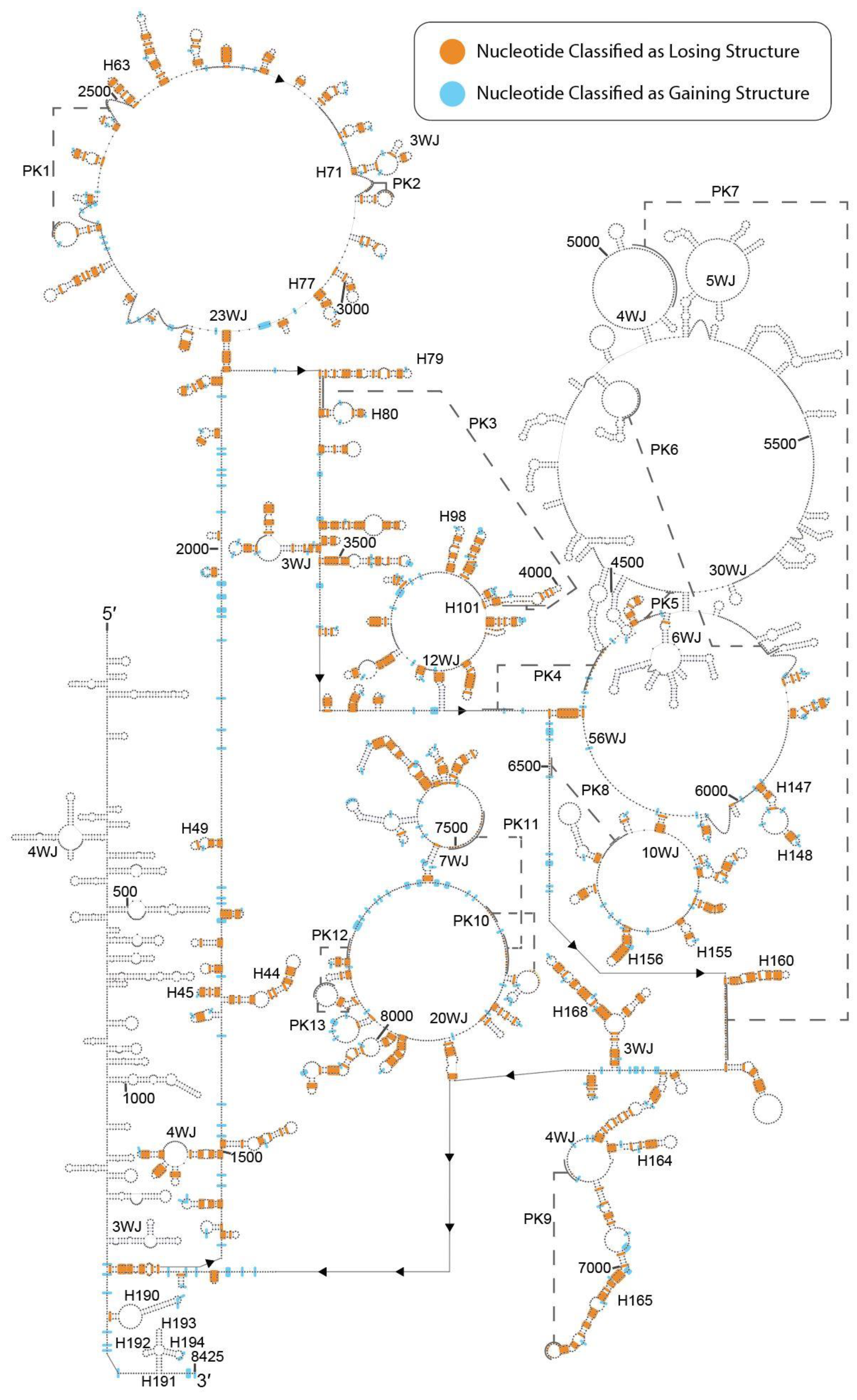 Ncrna 07 00006 g002 Ncrna 07 00006 g002