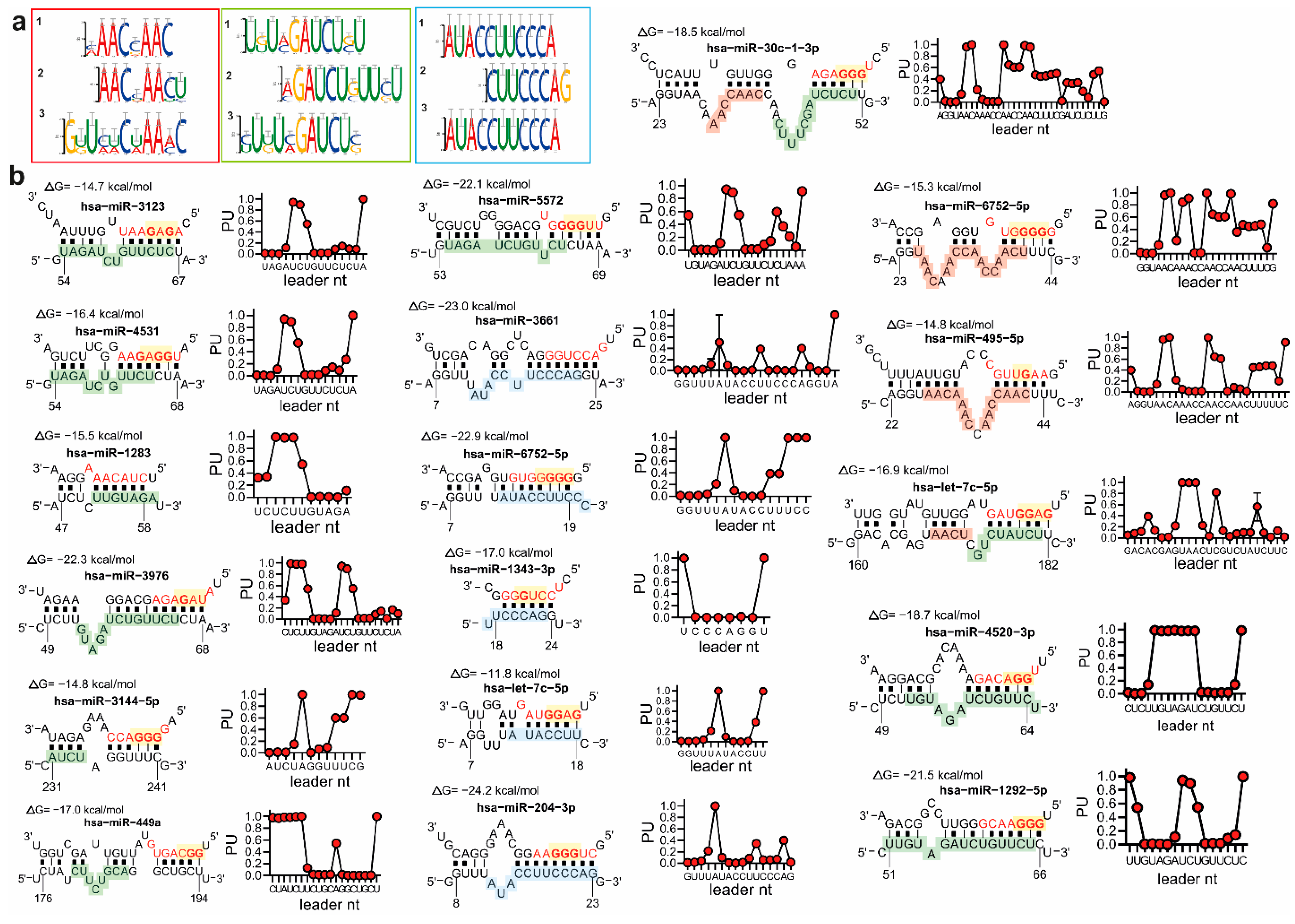 Ncrna 07 00014 g004 Ncrna 07 00014 g004