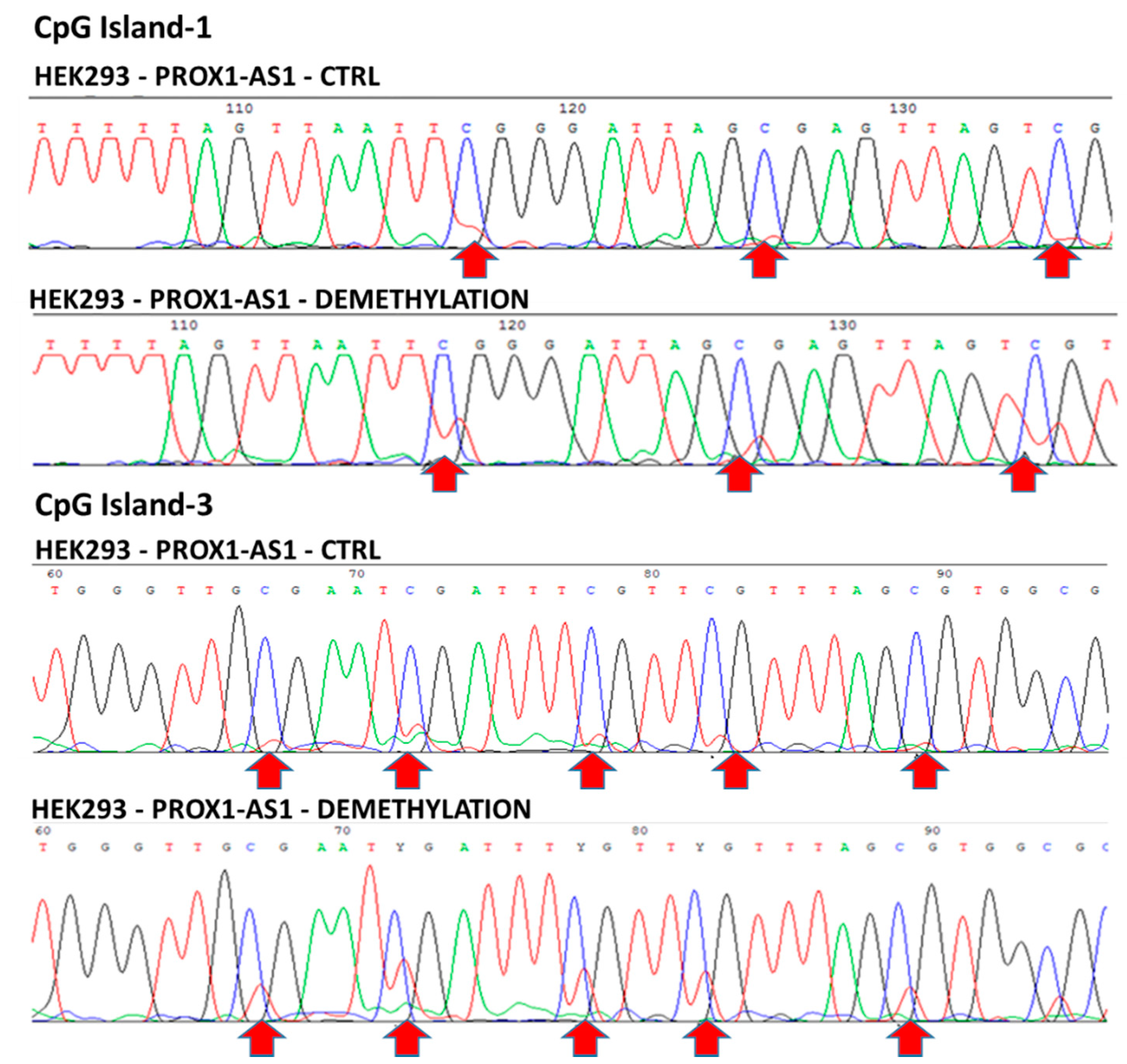 Ncrna 07 00025 g005 Ncrna 07 00025 g005