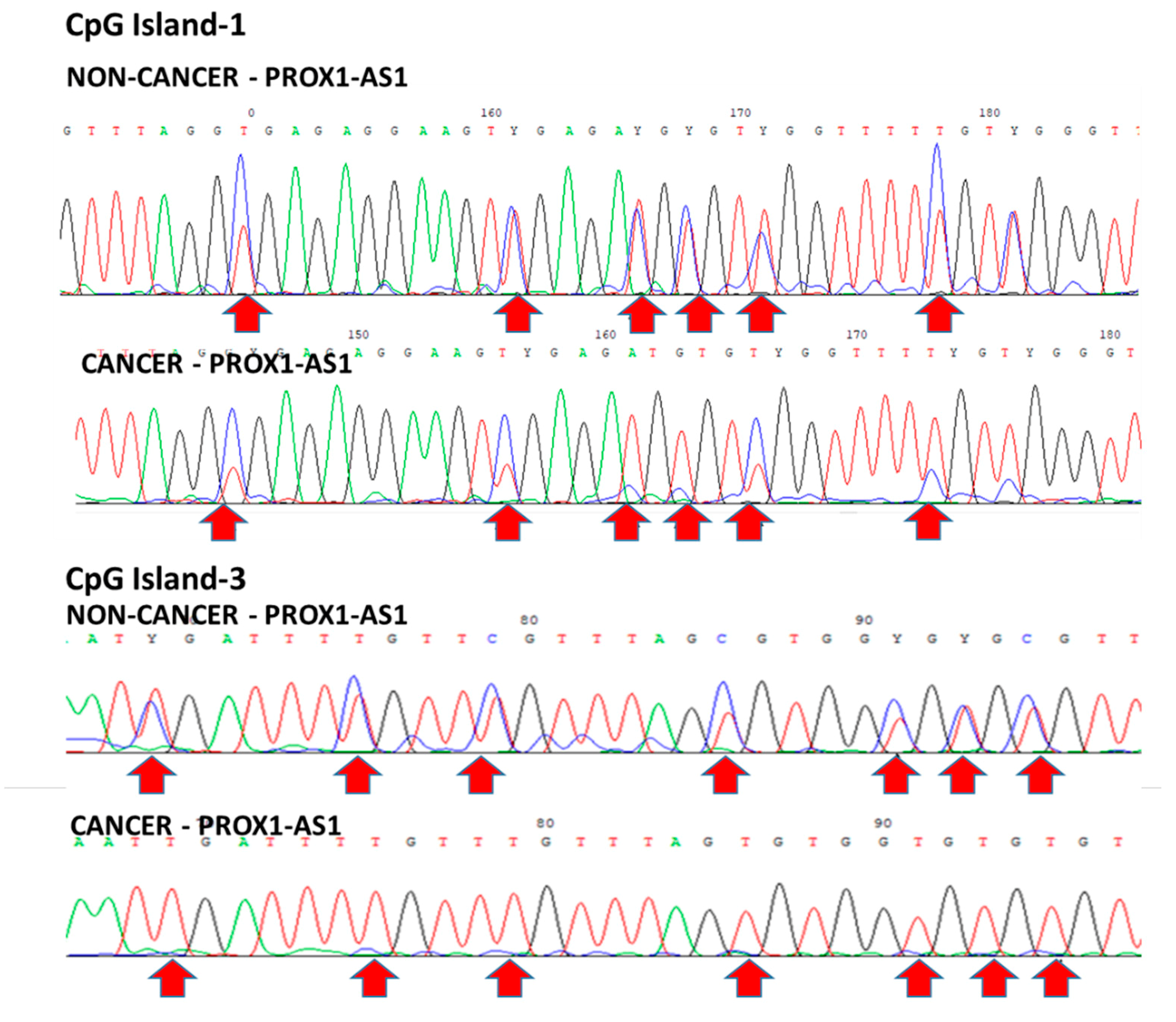 Ncrna 07 00025 g006 Ncrna 07 00025 g006