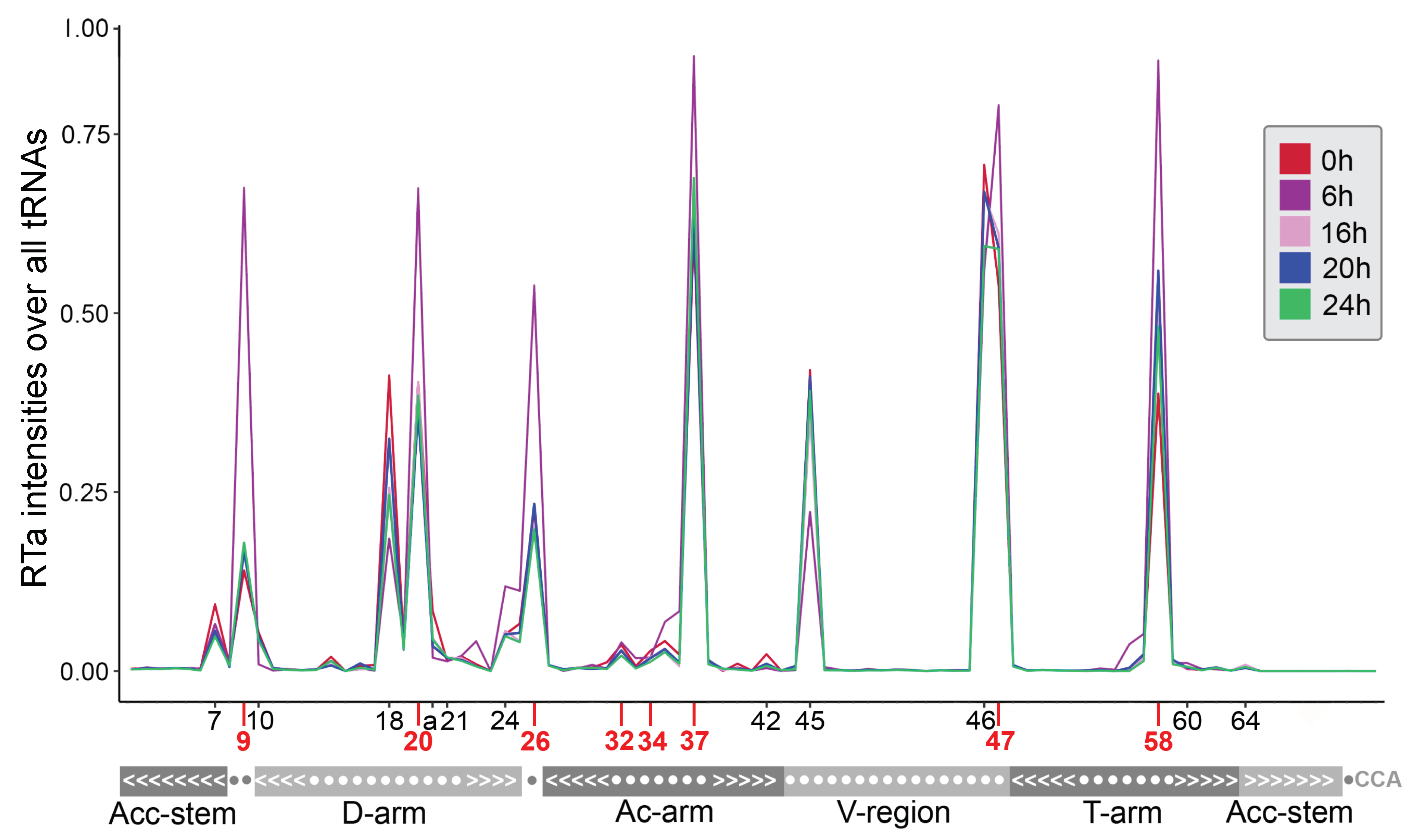 Ncrna 07 00032 g004 Ncrna 07 00032 g004