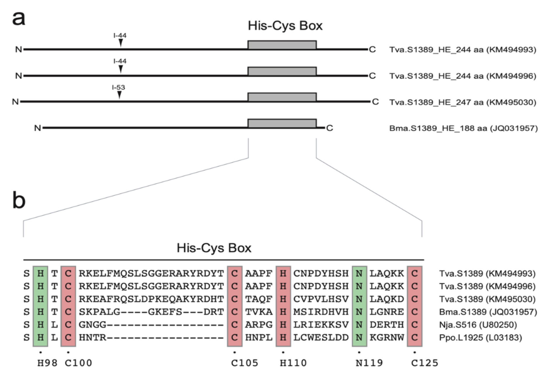 Ncrna 07 00043 g004 Ncrna 07 00043 g004