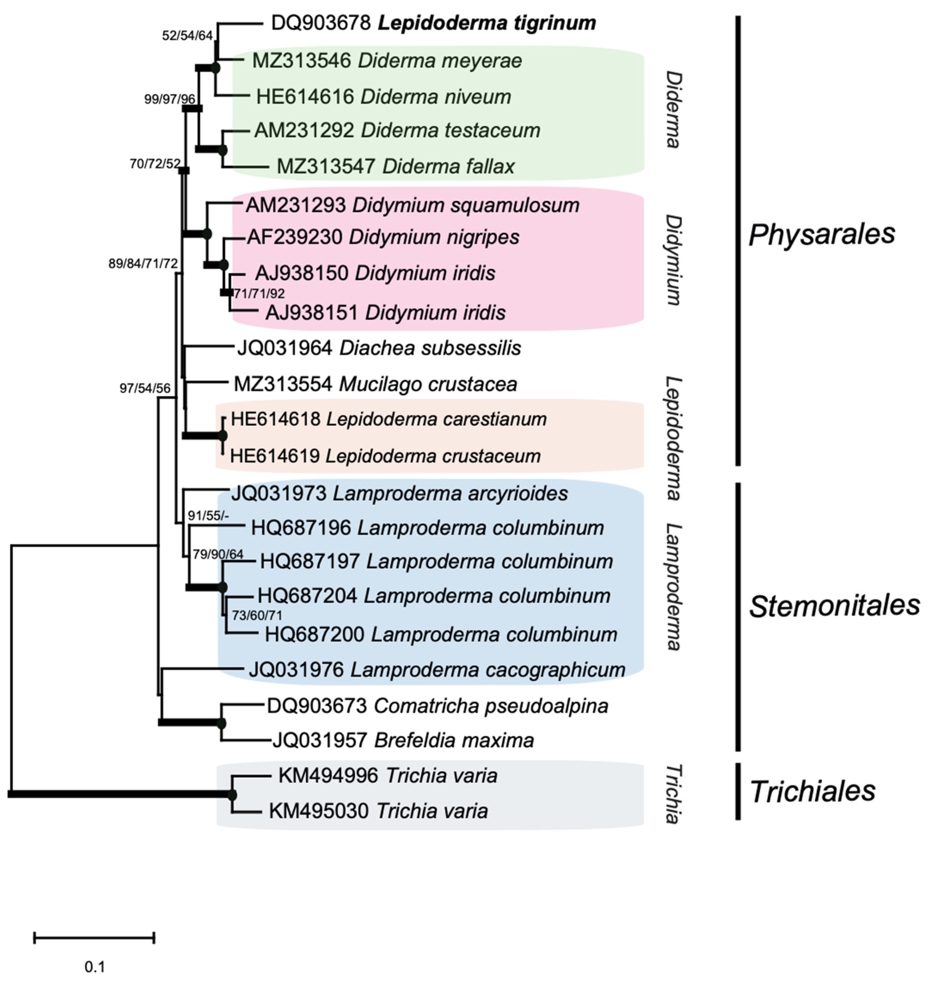 Ncrna 07 00043 g005 Ncrna 07 00043 g005