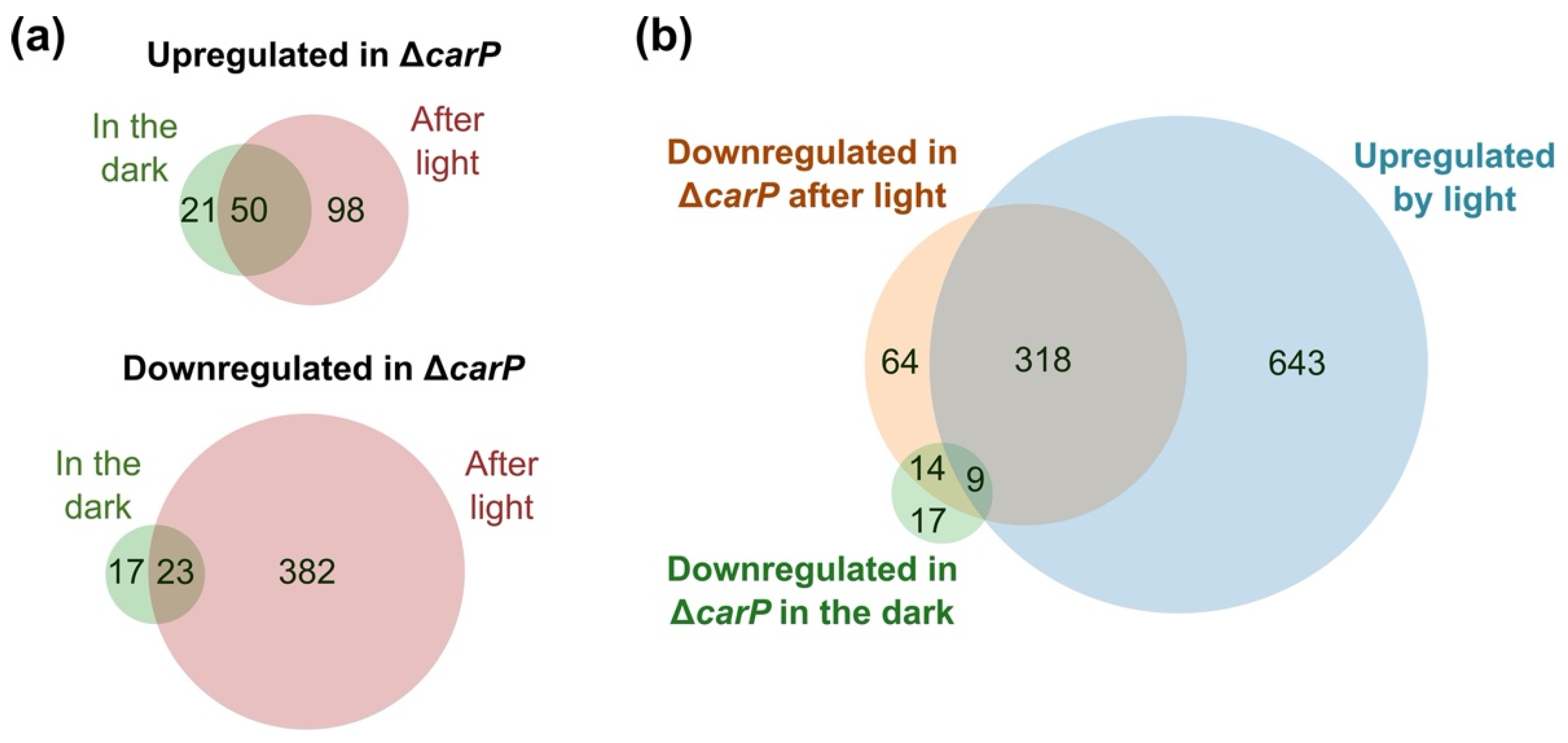 Ncrna 07 00046 g003 550