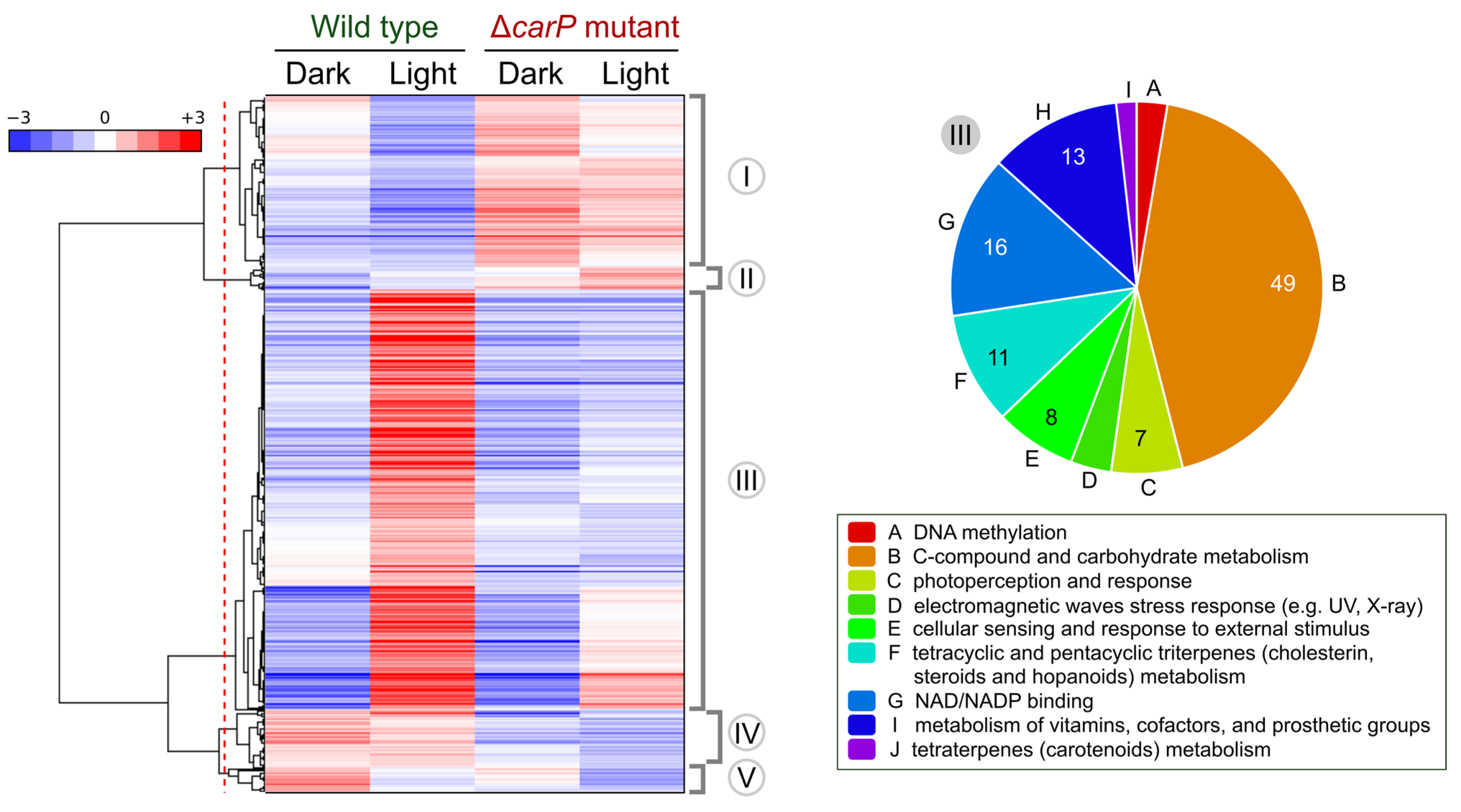 Ncrna 07 00046 g004 550