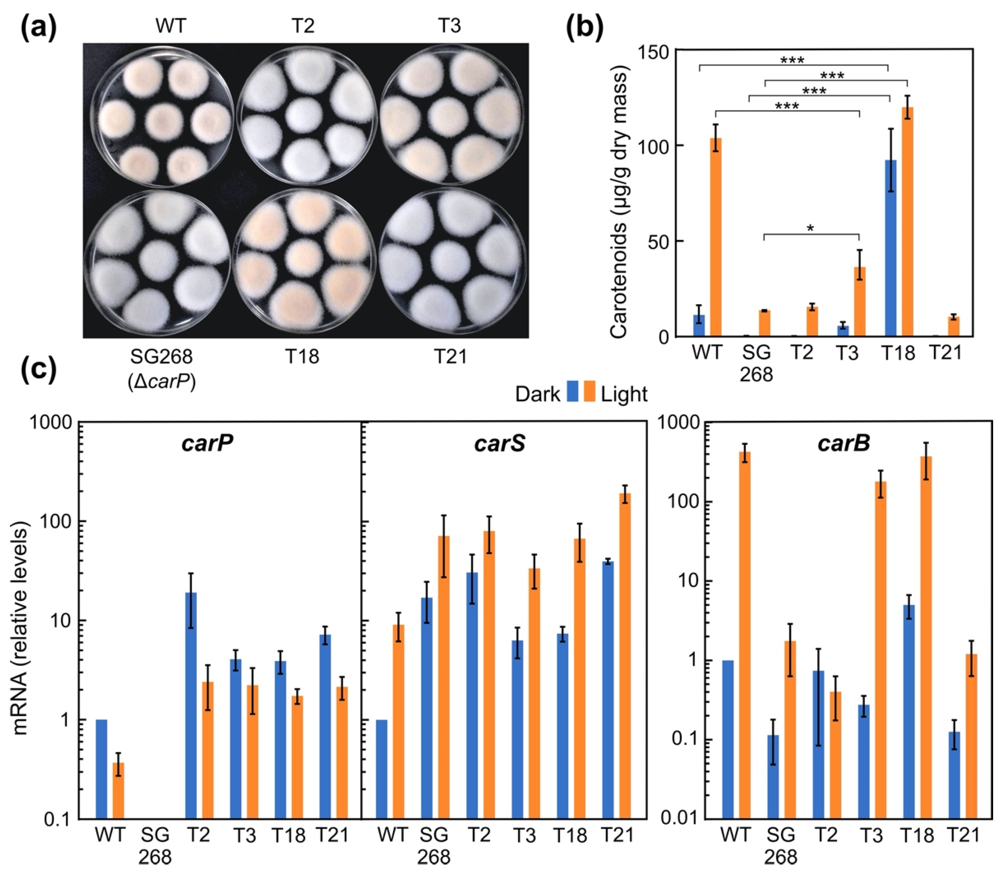 Ncrna 07 00046 g006 550