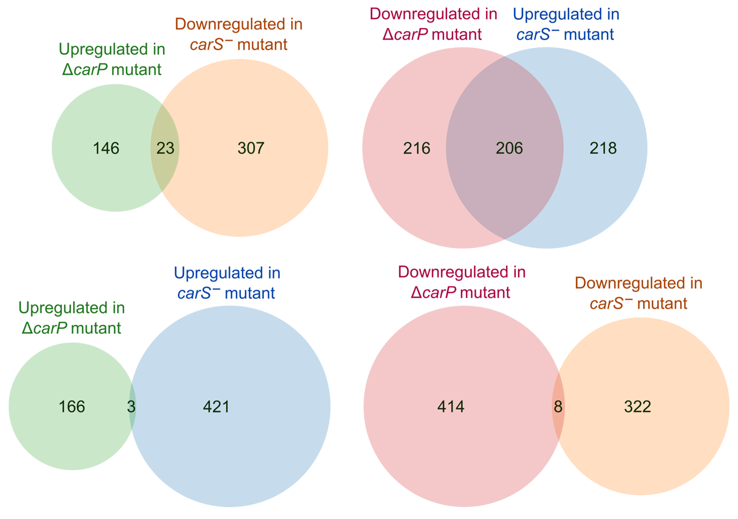 Ncrna 07 00046 g007 550