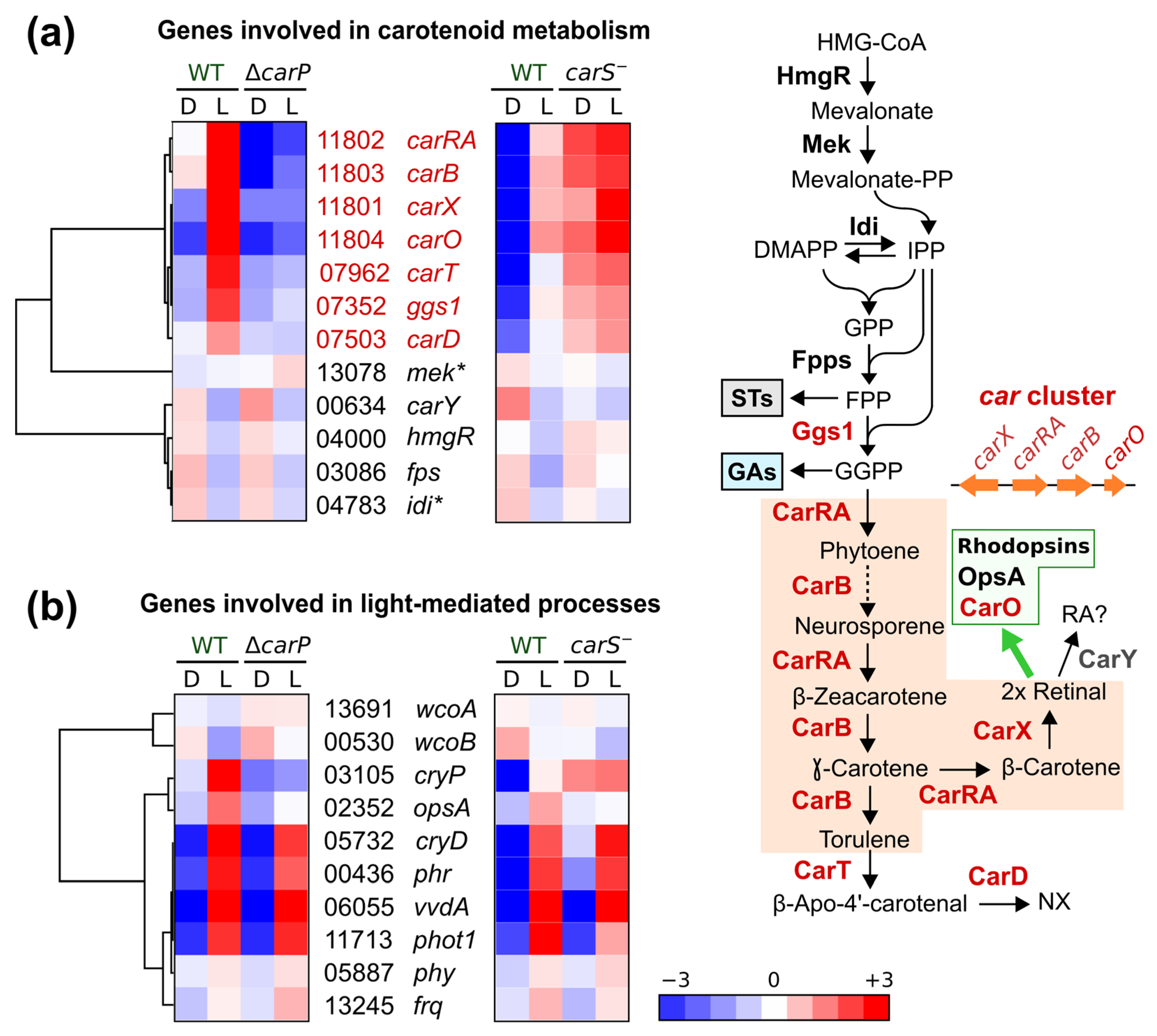 Ncrna 07 00046 g008 550